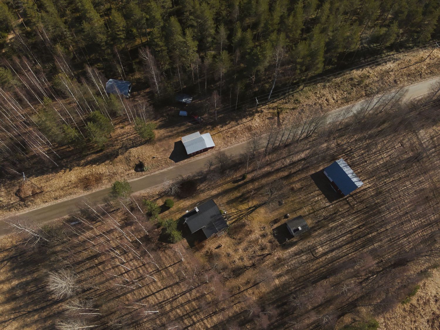 Aerial drone view of rural cabins and outbuildings surrounded by sparse forest and cleared land in a remote countryside setting.