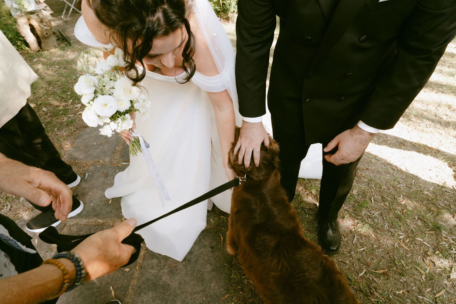 Bride and groom pet a brown dog during outdoor wedding celebration with white floral bouquet.