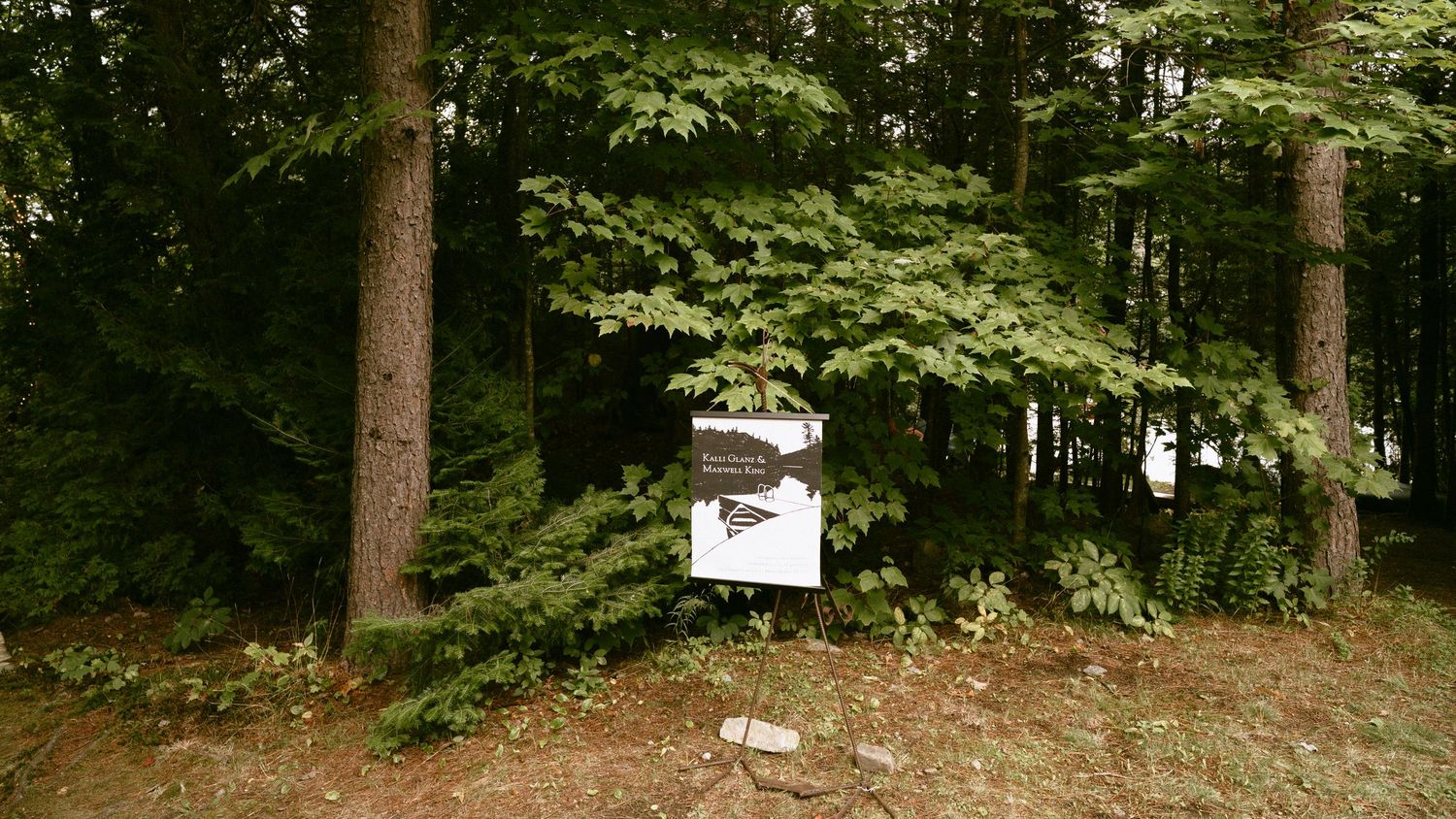 Rustic woodland wedding sign displayed among tall trees in a forest setting.