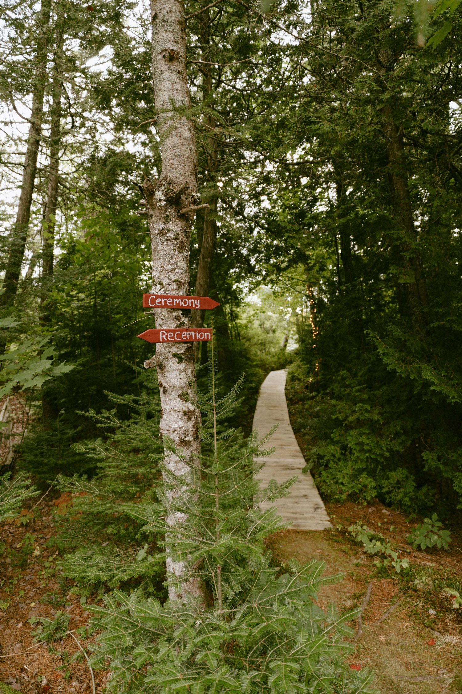Wooden arrow signs pointing to ceremony and reception along a forest boardwalk path.