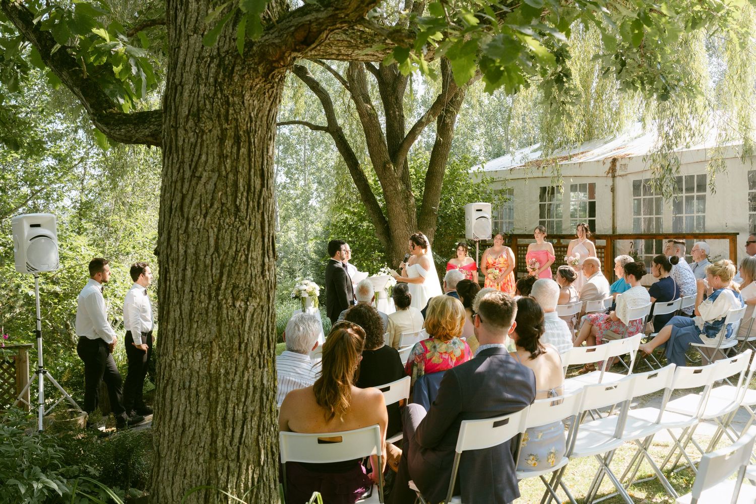 Outdoor wedding ceremony with guests seated on white chairs beneath large tree.
