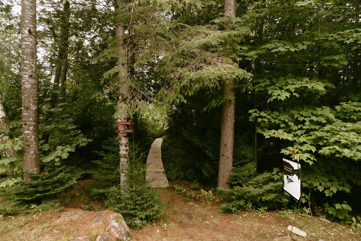 Stone monument and wedding directional signs nestled among lush green forest trees.