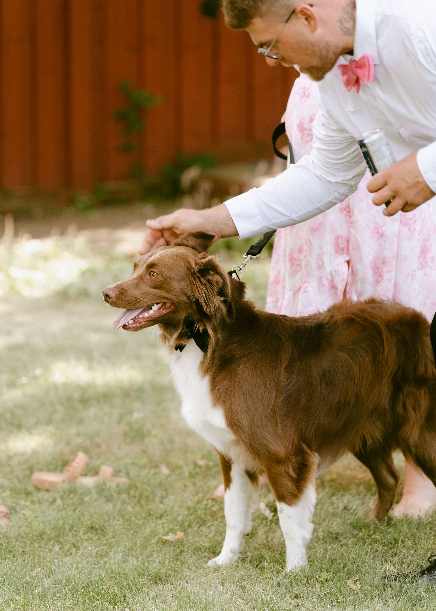 Groom in casual attire pets a happy brown and white dog on green lawn.