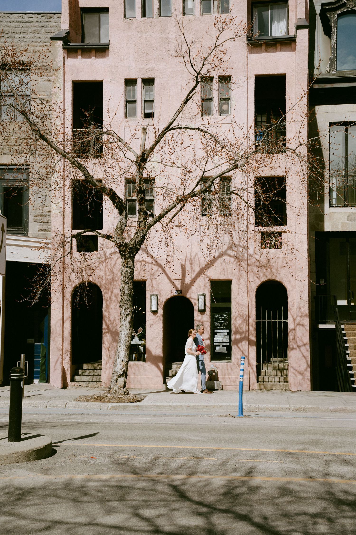 Bride and groom share a kiss beneath a bare tree outside a pink urban building.
