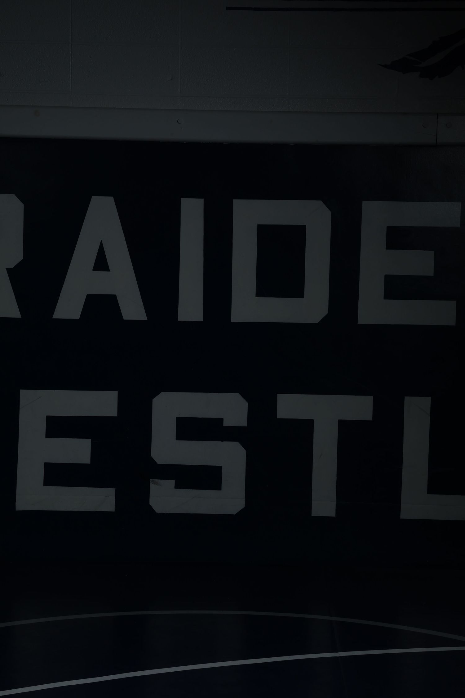 Wresting background
