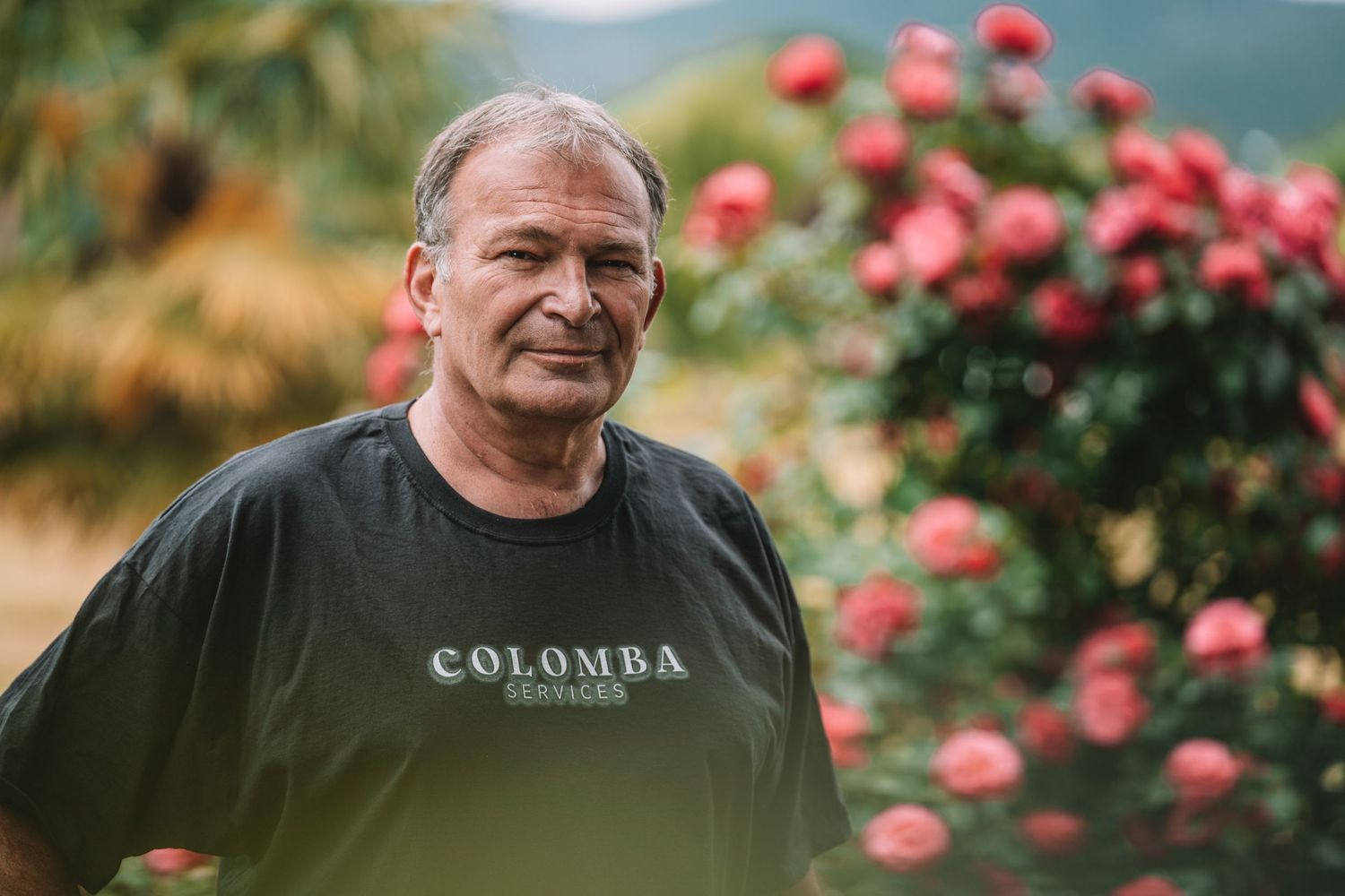 Middle-aged man wearing a Colomba t-shirt standing in front of blooming pink rose bushes outdoors.