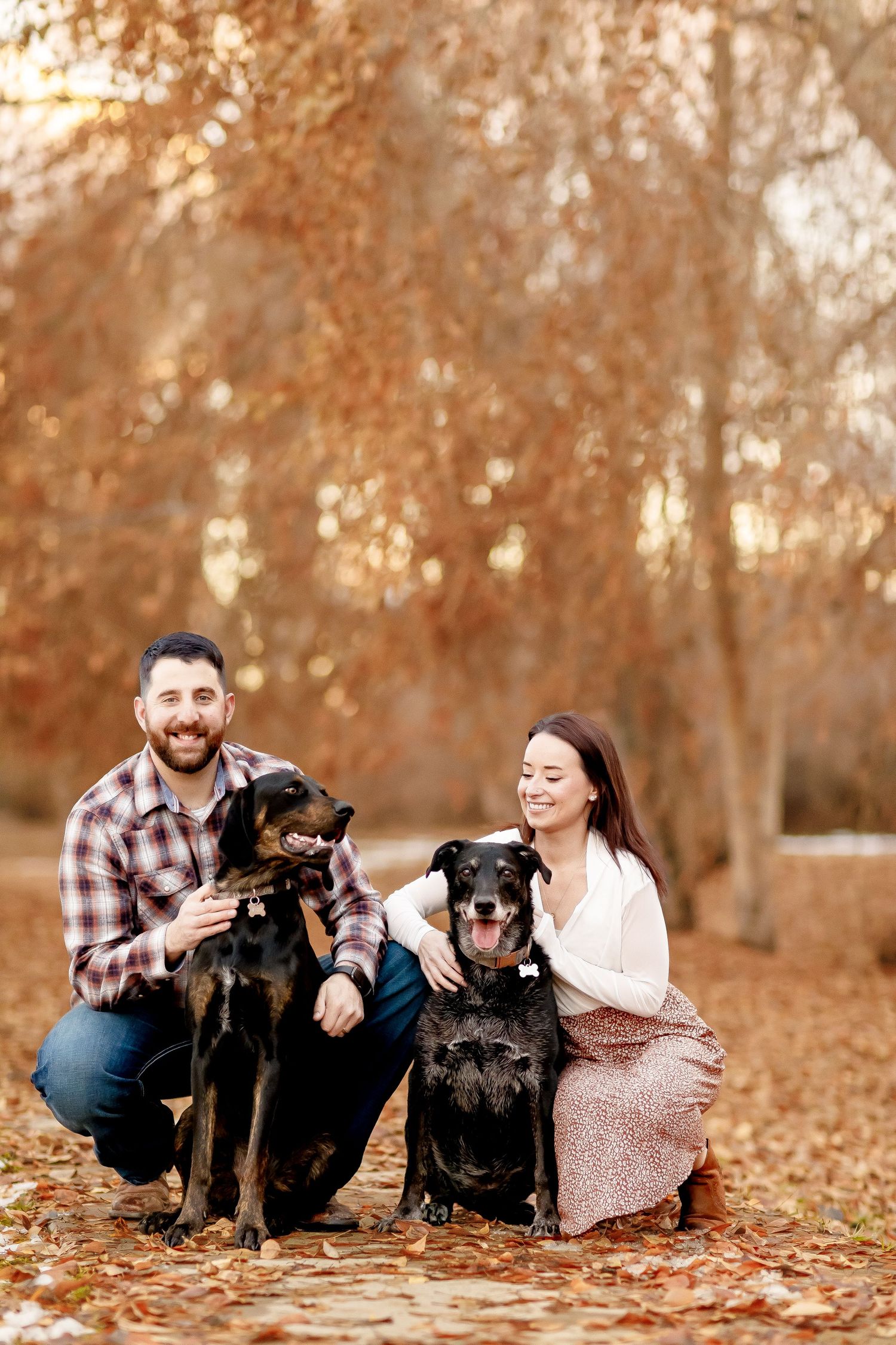 Smiling couple crouching with two black dogs on a leaf-covered path in autumn.