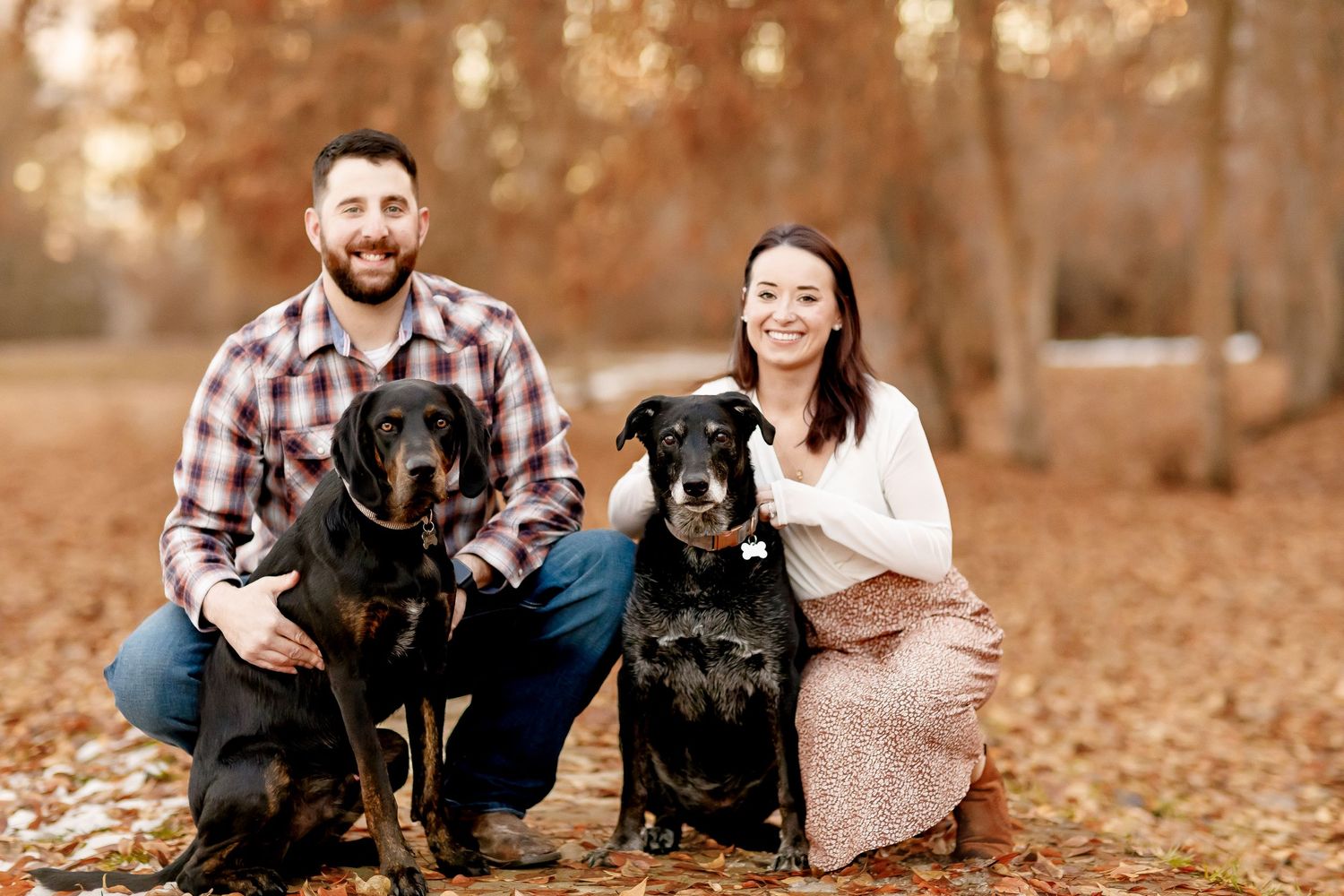 Happy couple posing with two black dogs among golden autumn trees in a park.