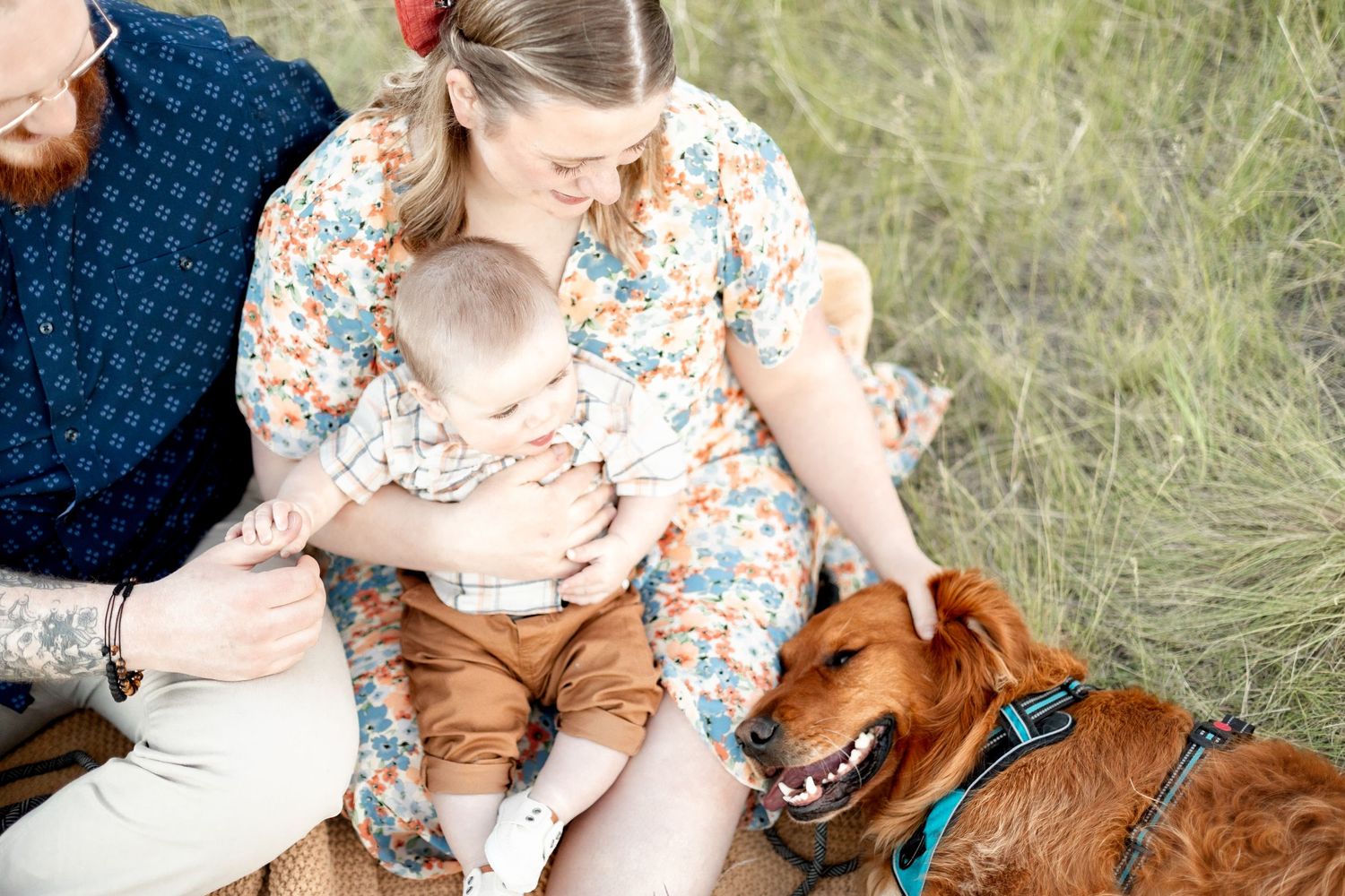 Family with baby and golden retriever sitting together in a grassy field outdoors.