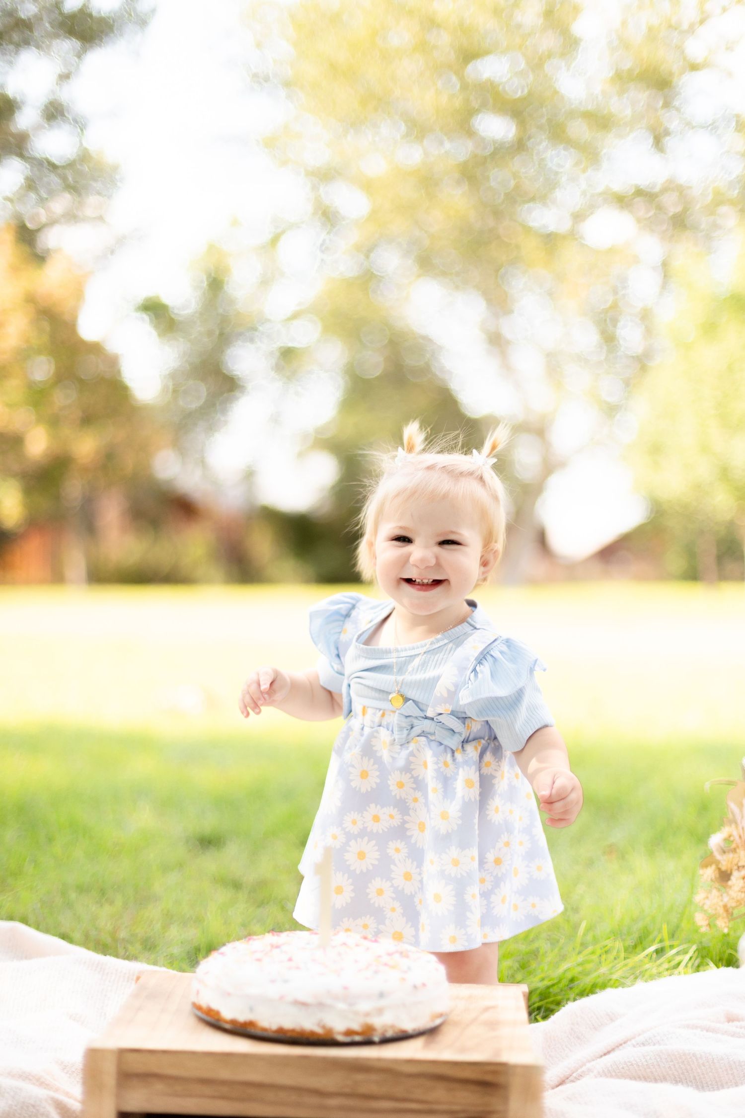 Joyful baby girl in a blue daisy dress standing near her smash cake on a wooden crate in a sunny park.
