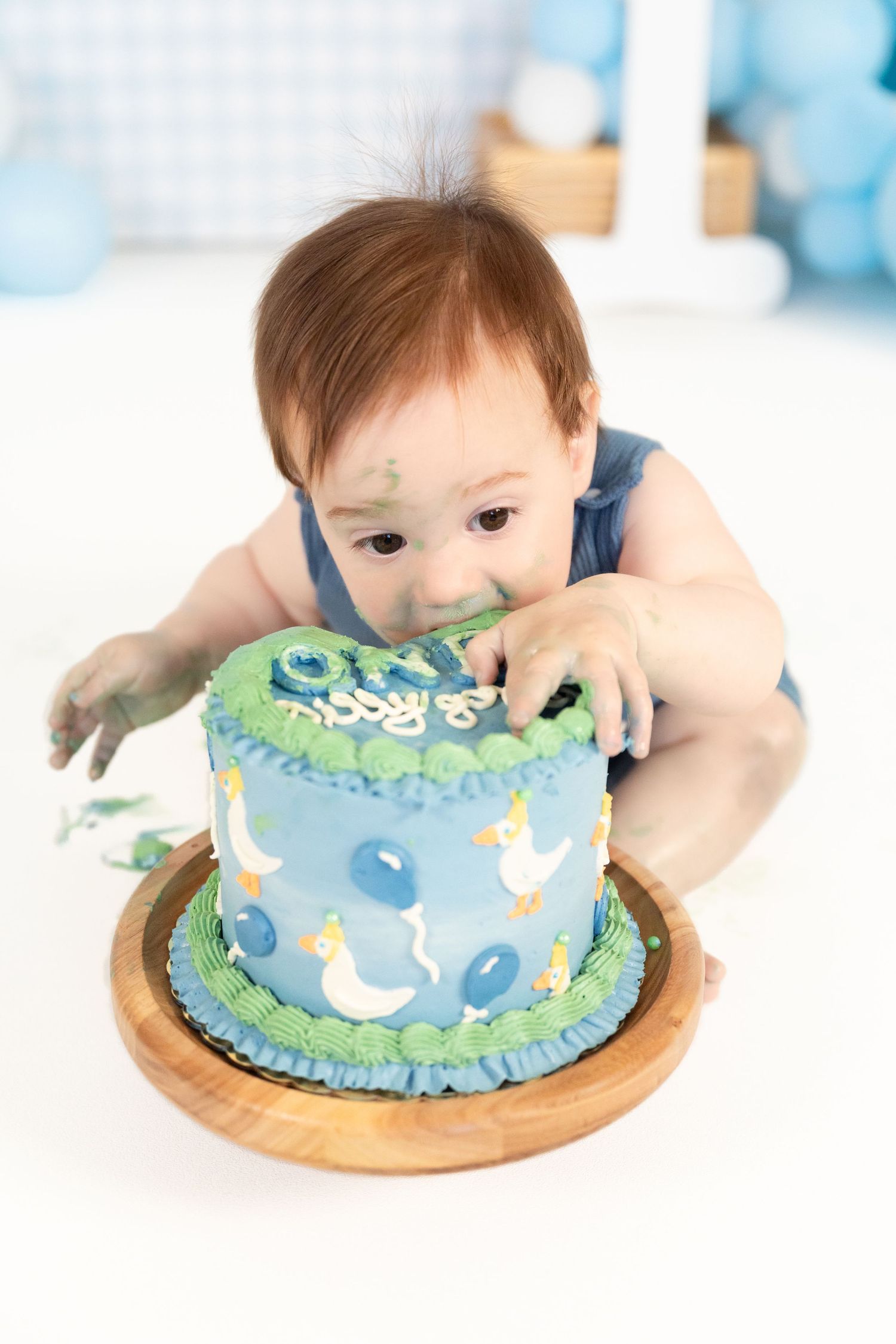 Baby boy smashes his face into a blue duck-themed first birthday cake during cake smash photo session.