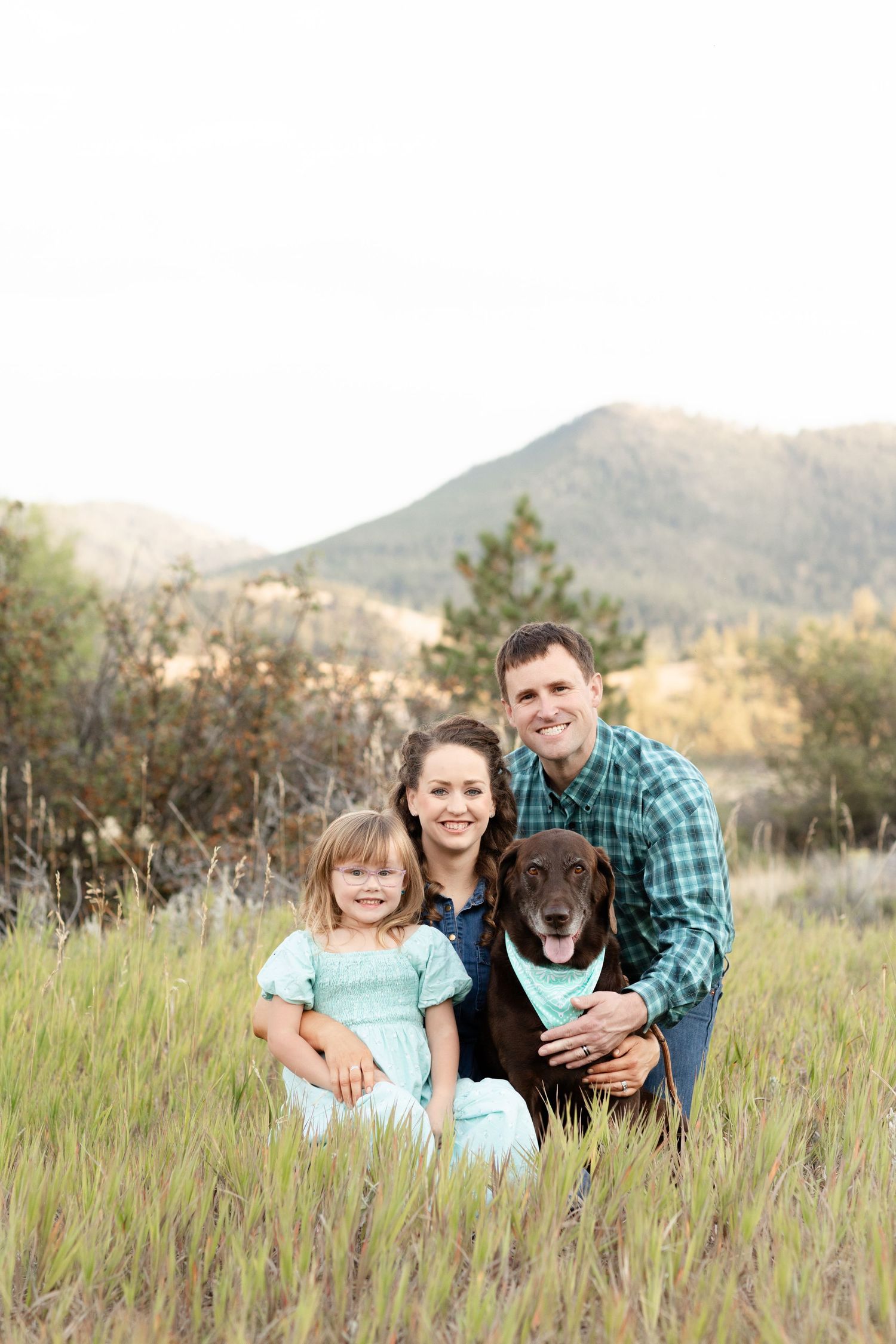 A happy family with a young girl and chocolate lab dog pose in a mountain meadow.