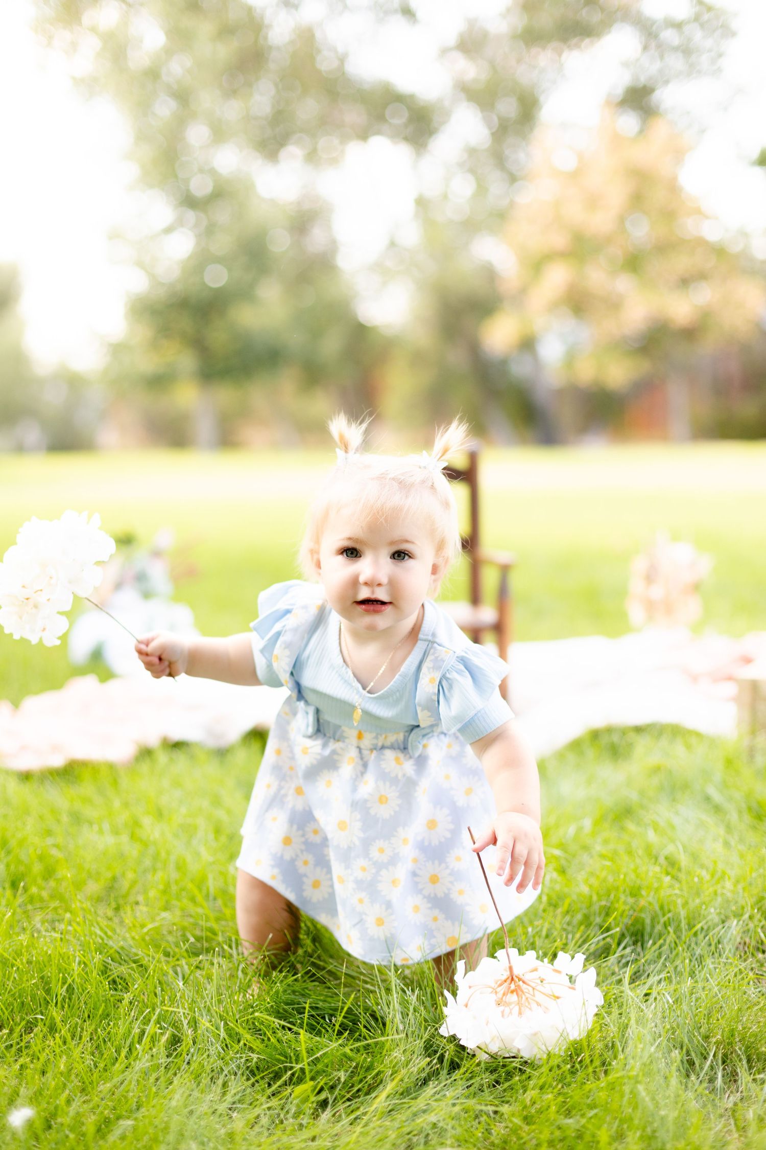 Baby girl in a blue daisy dress crawling on green grass holding white flowers at an outdoor birthday session.