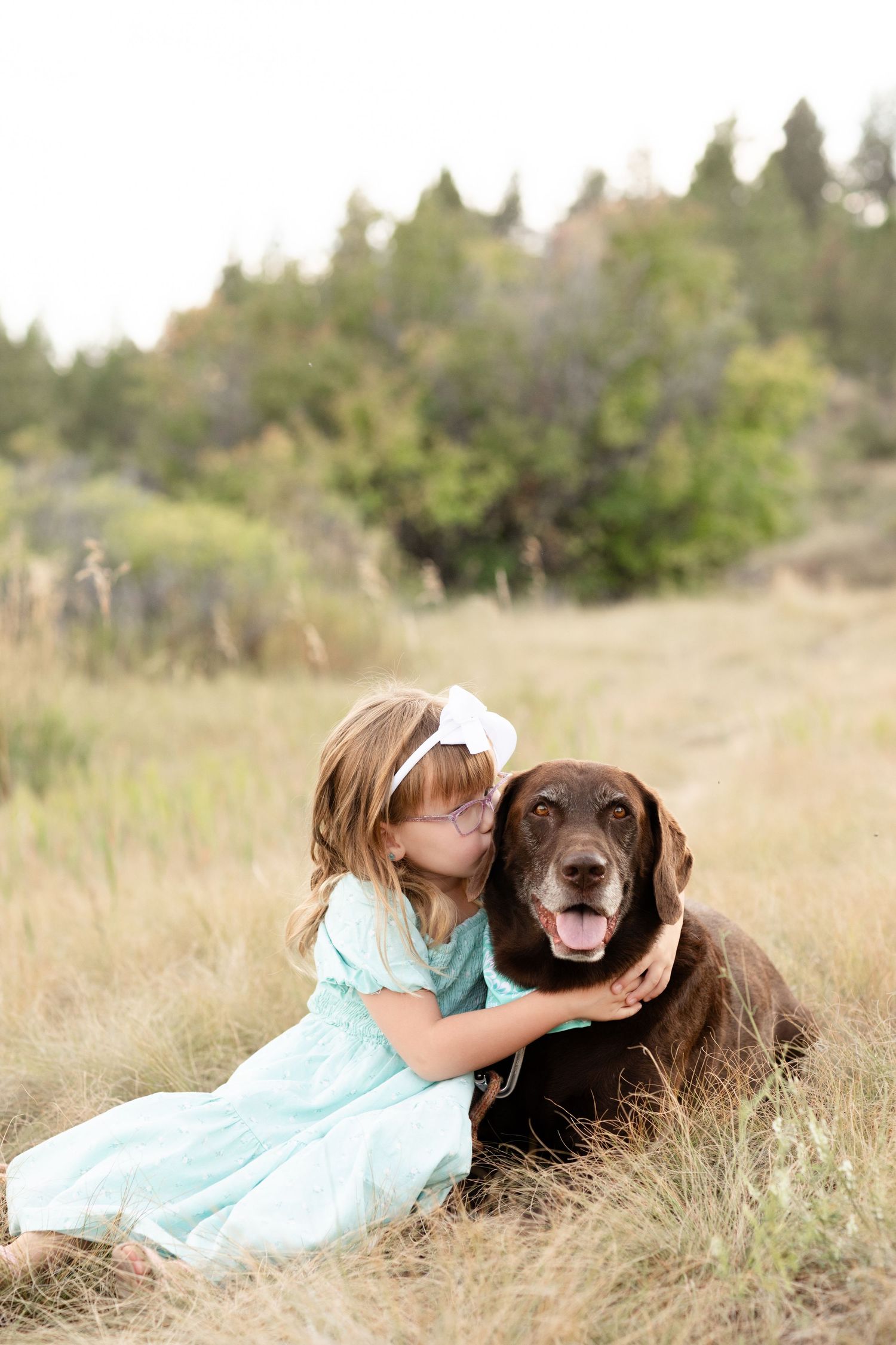 A young girl in a mint dress hugs and kisses a chocolate Labrador while sitting in a grassy meadow.