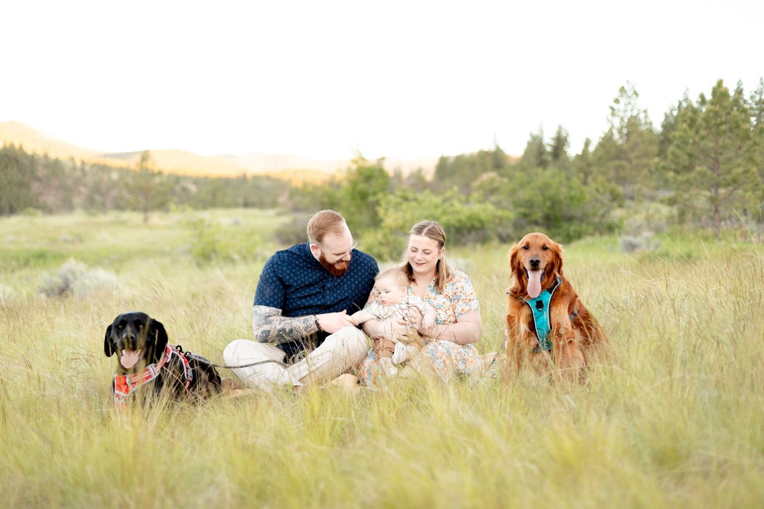 Family with two dogs sitting in a green meadow during golden hour outdoor photography session.