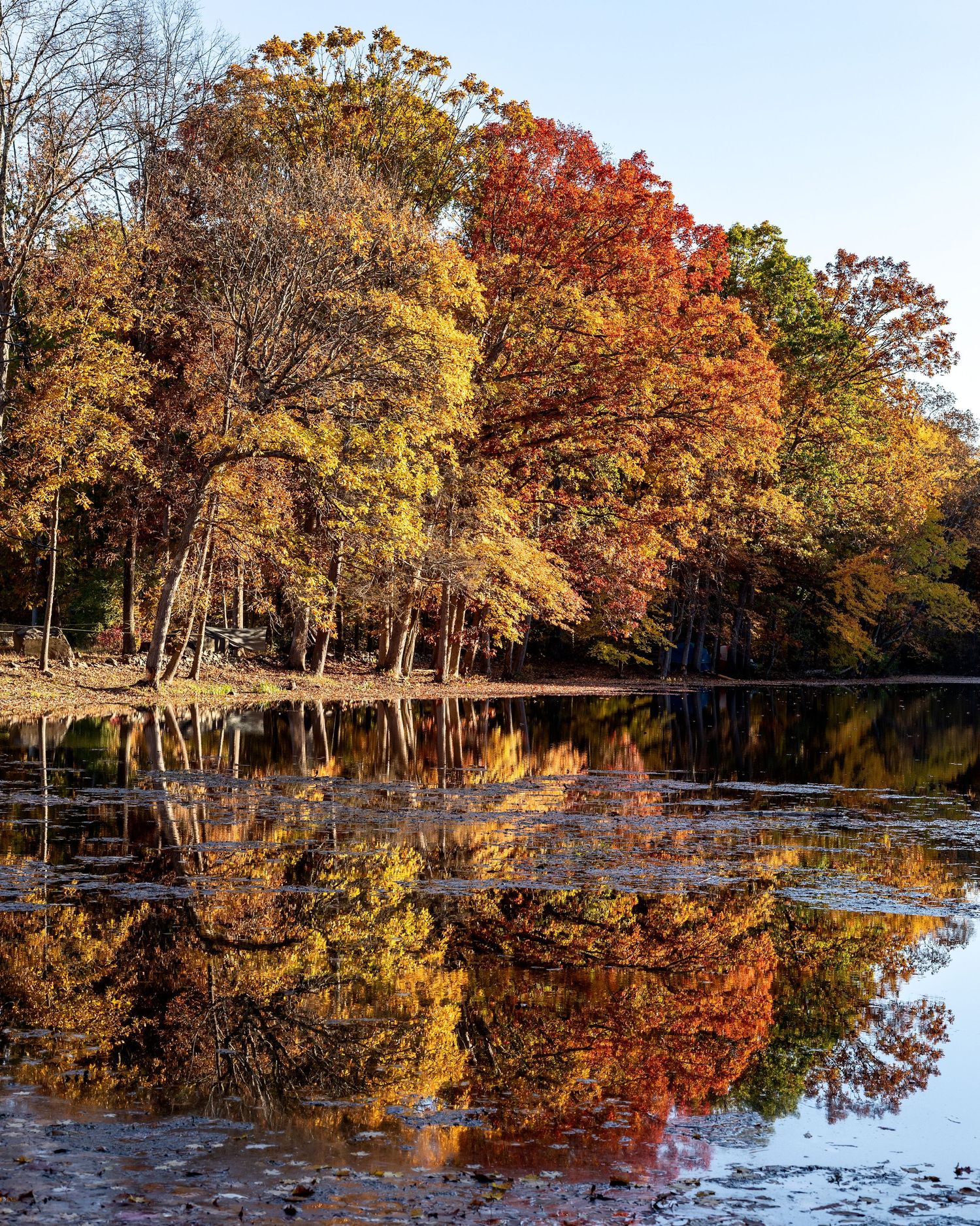 automne