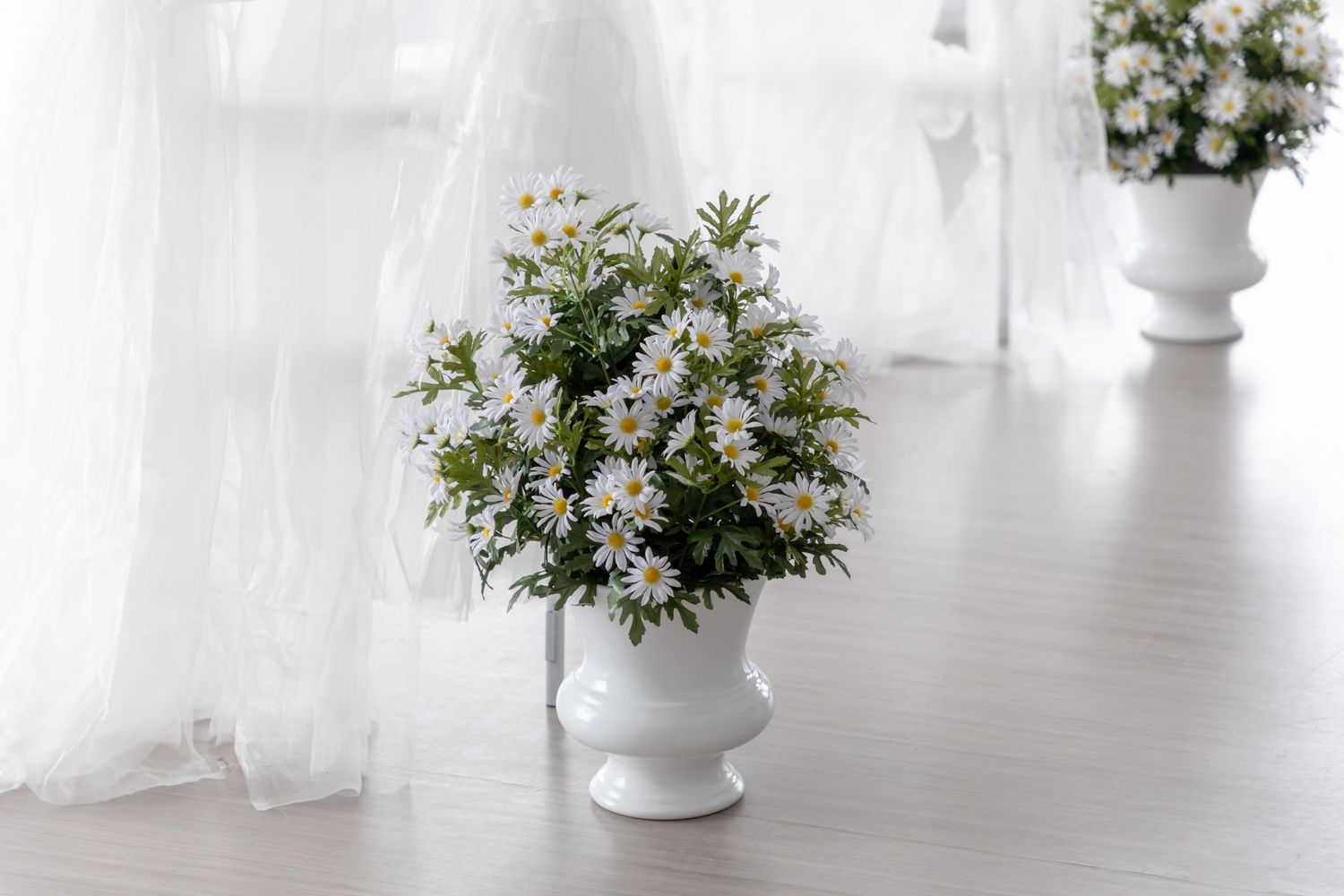 Pot de fleur