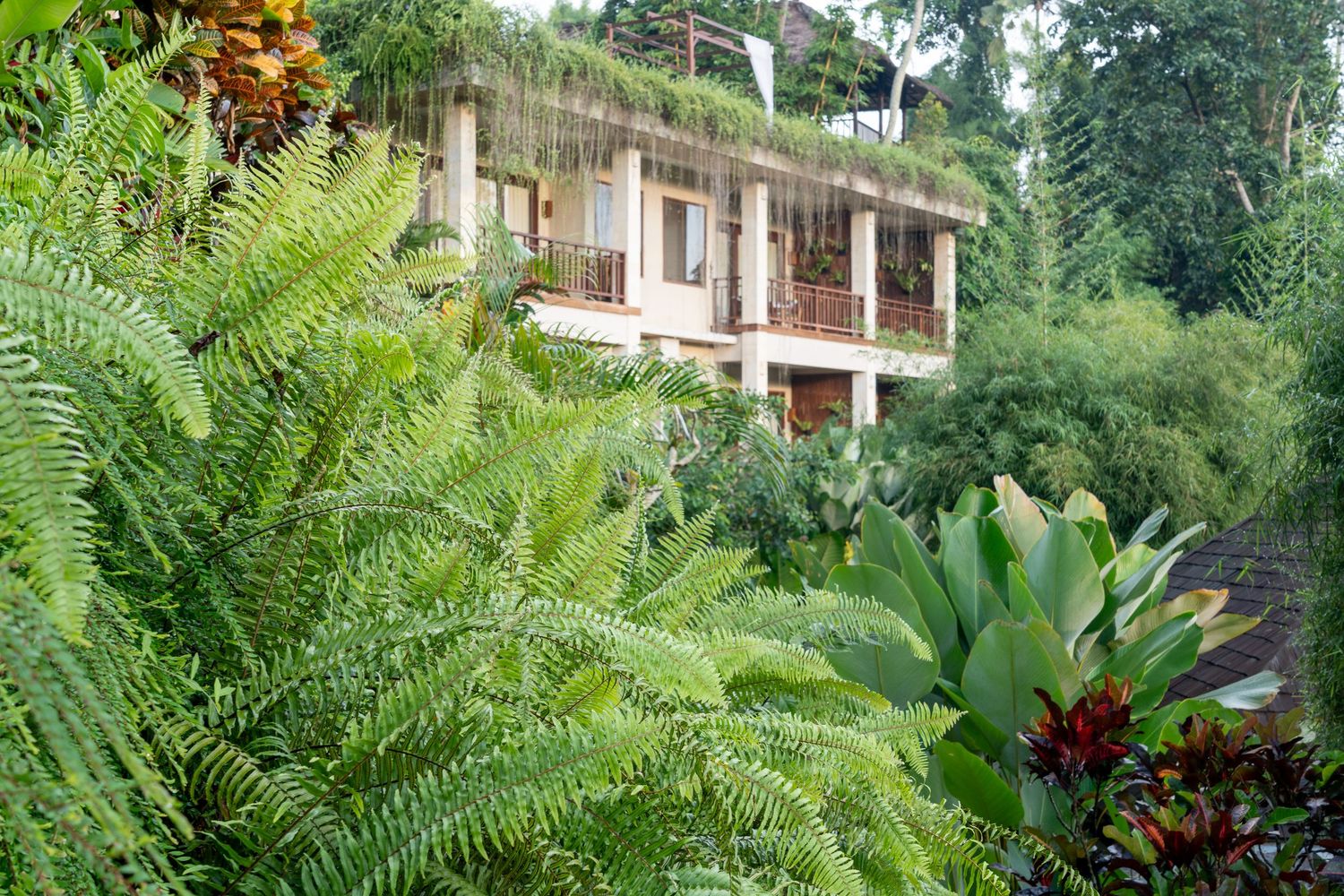 Exterior Resort, Lush green landscape