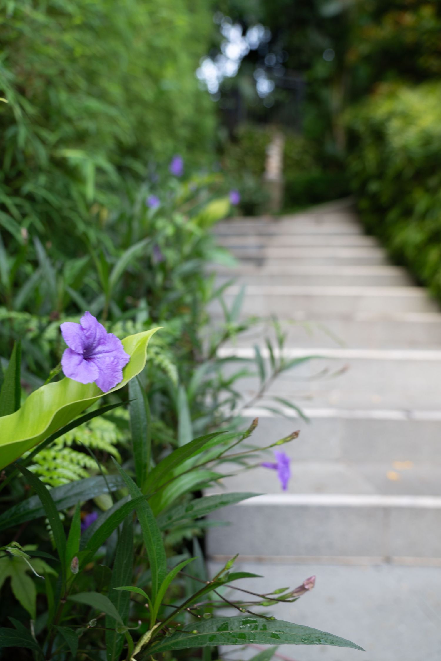 Decorative stone stairs lined with flowers and greenery.