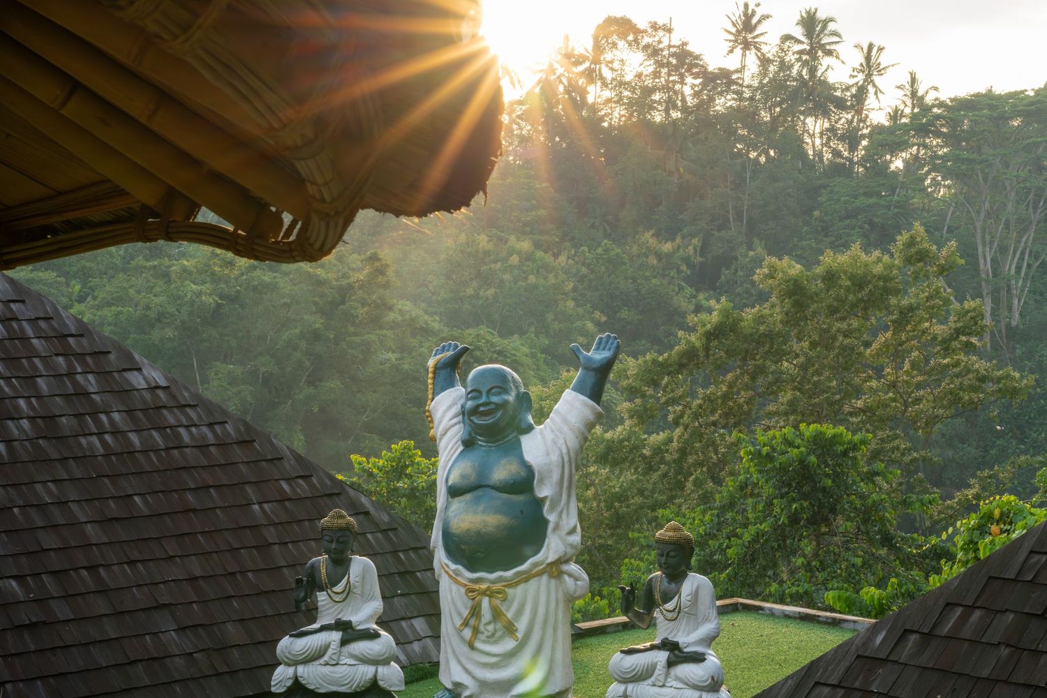 Buddha statue with warm sunlight shining from above.