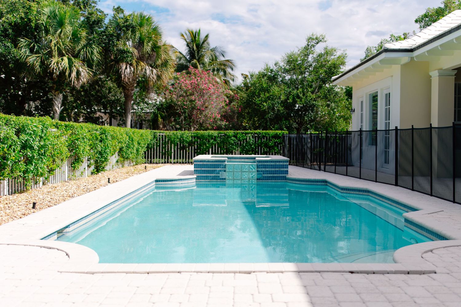 Outdoor rectangular swimming pool with spa, black safety fence, lush tropical hedges, and palm trees in a sunny backyard.