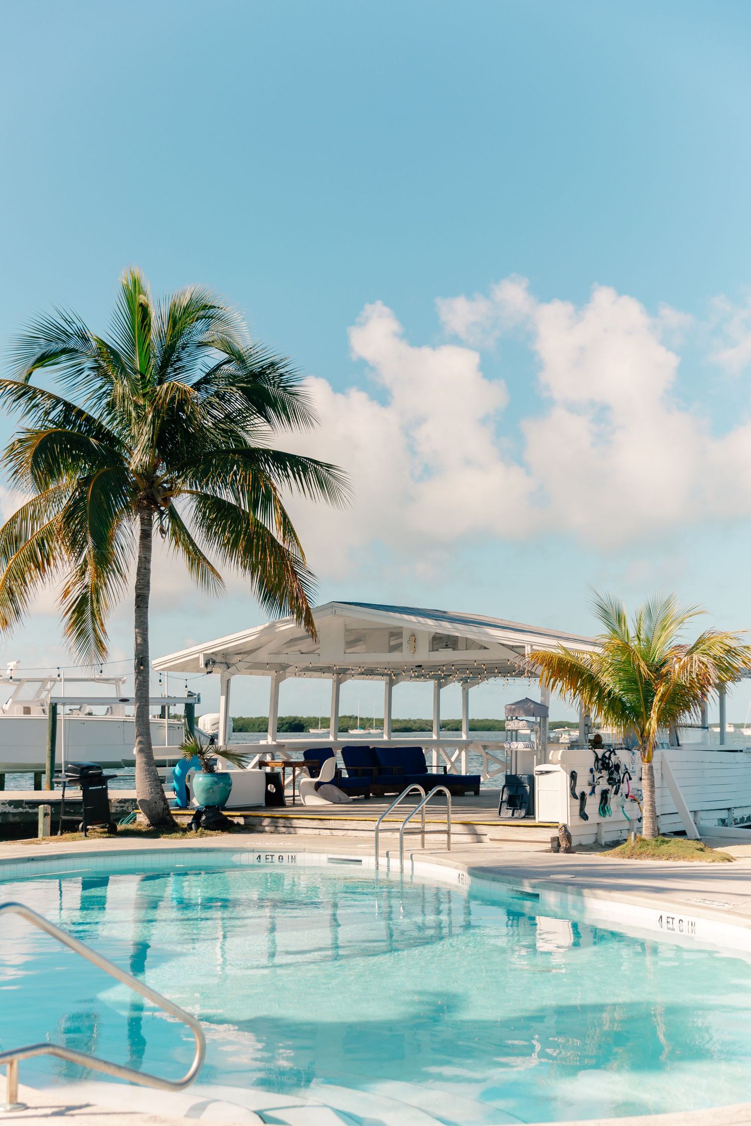 Tropical resort pool with palm trees, white pavilion, and blue water under a sunny sky near a marina.
