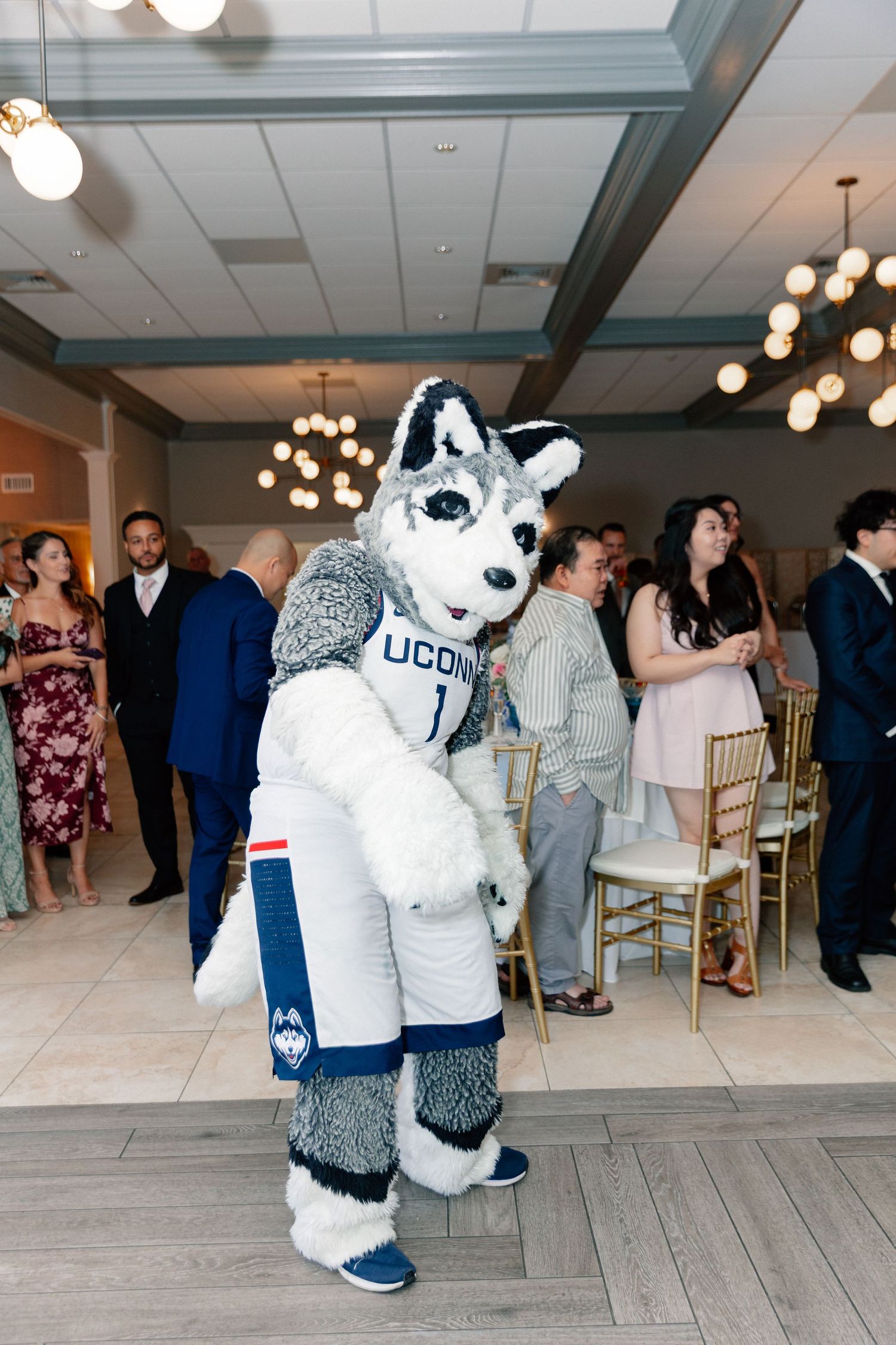 UConn Huskies mascot costume at an indoor event with guests in formal attire and elegant chandeliers.