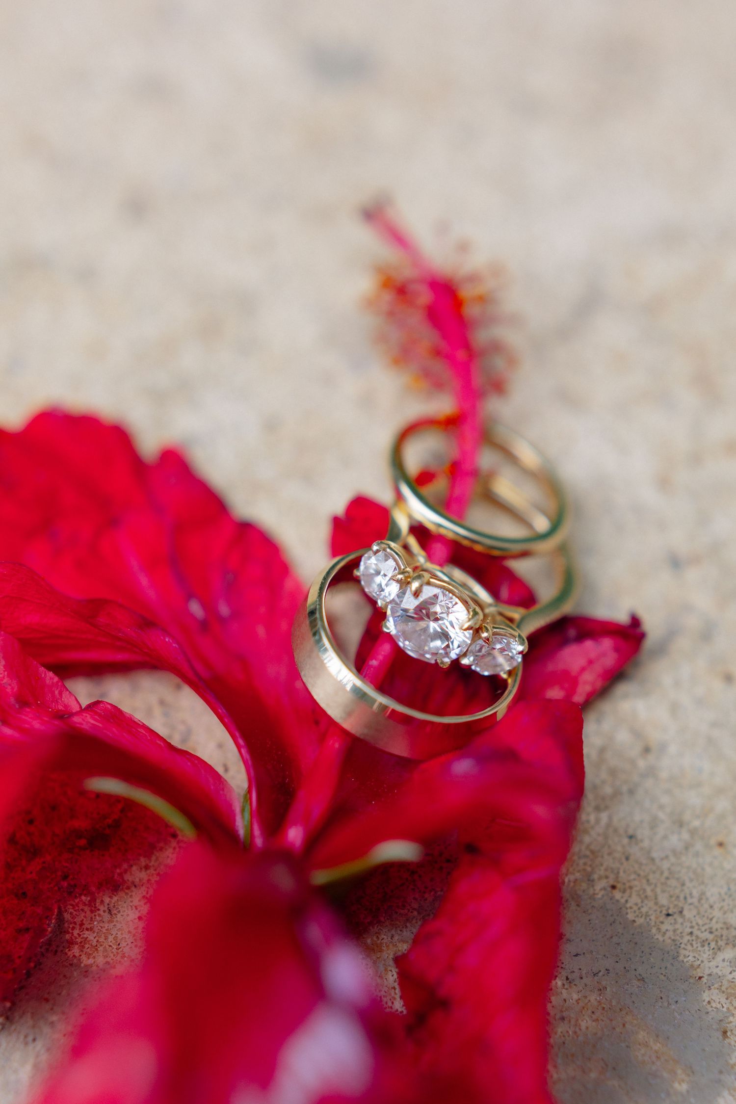 Gold wedding bands and diamond engagement ring resting on red flower petals on sandy beach surface.