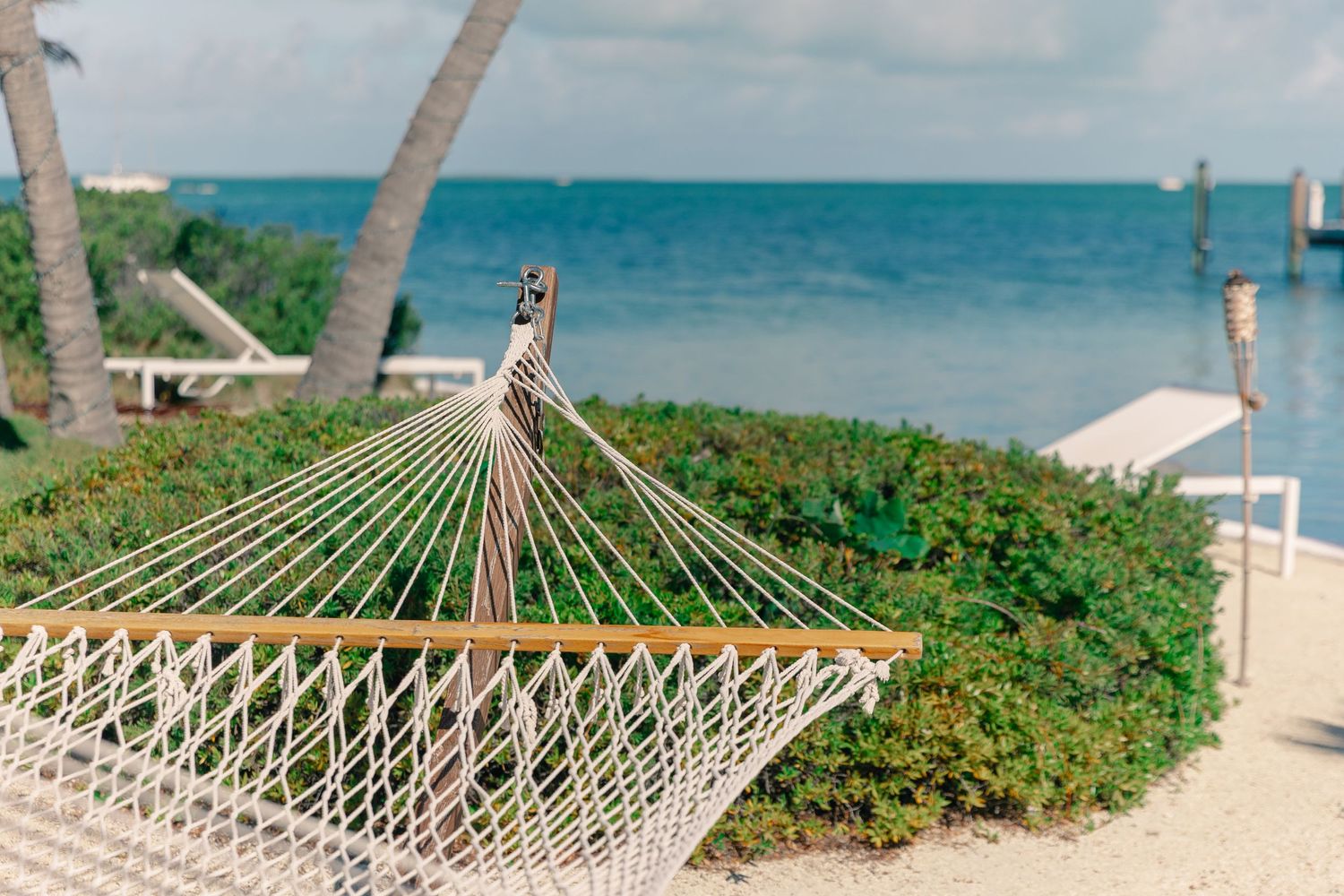 A rope hammock overlooking a tropical beach with turquoise ocean views, palm trees, and lush greenery on a sunny day.