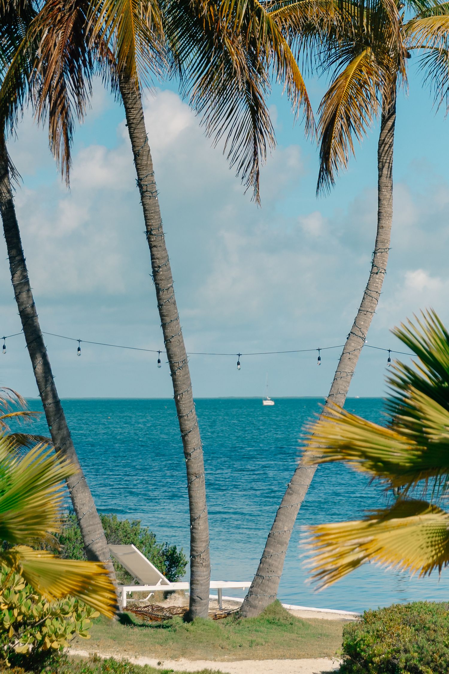 Tropical beach scene with tall palm trees framing turquoise ocean waters under a partly cloudy blue sky.
