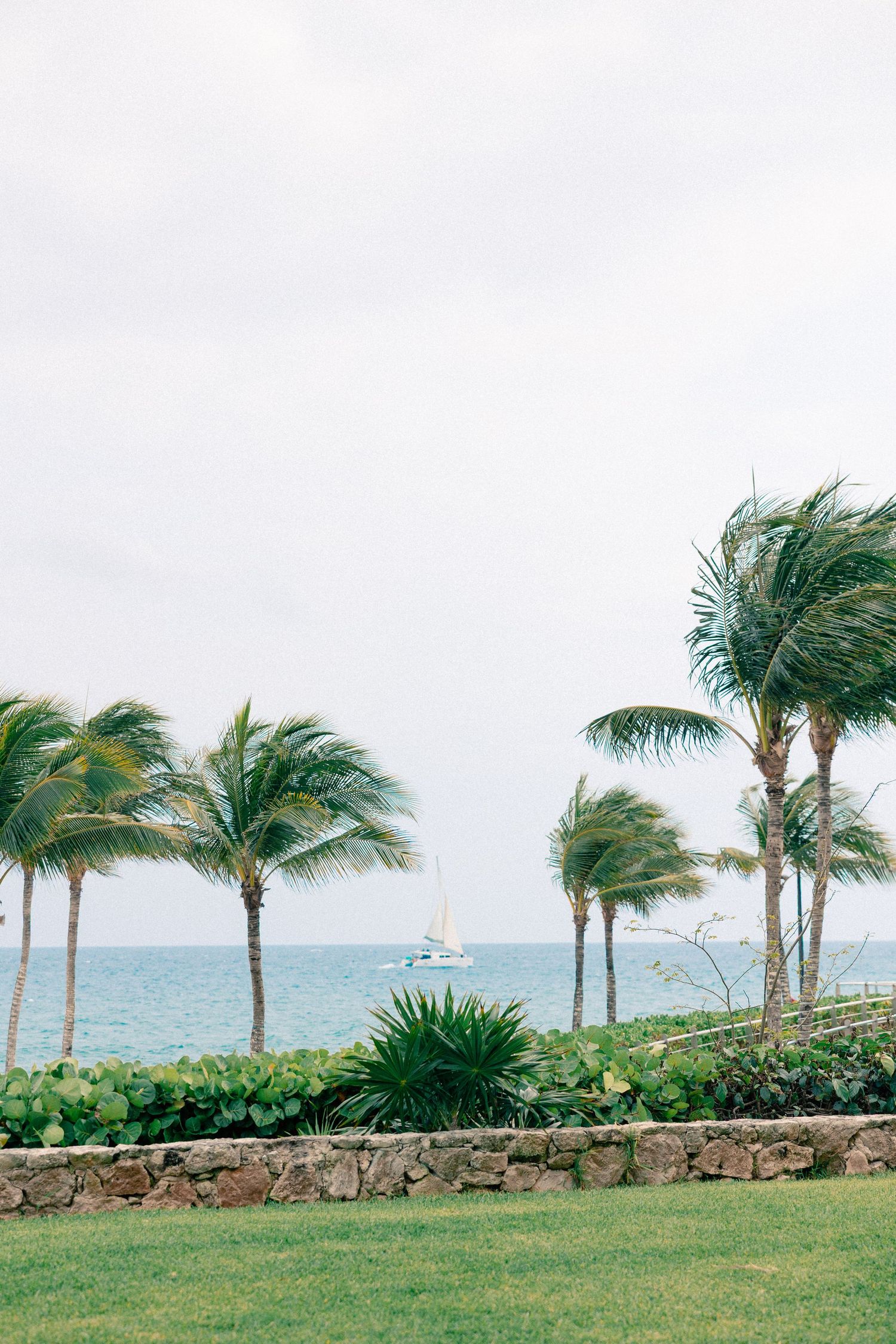Palm trees swaying in the ocean breeze with a sailboat on calm blue waters and a stone wall garden in a tropical setting.