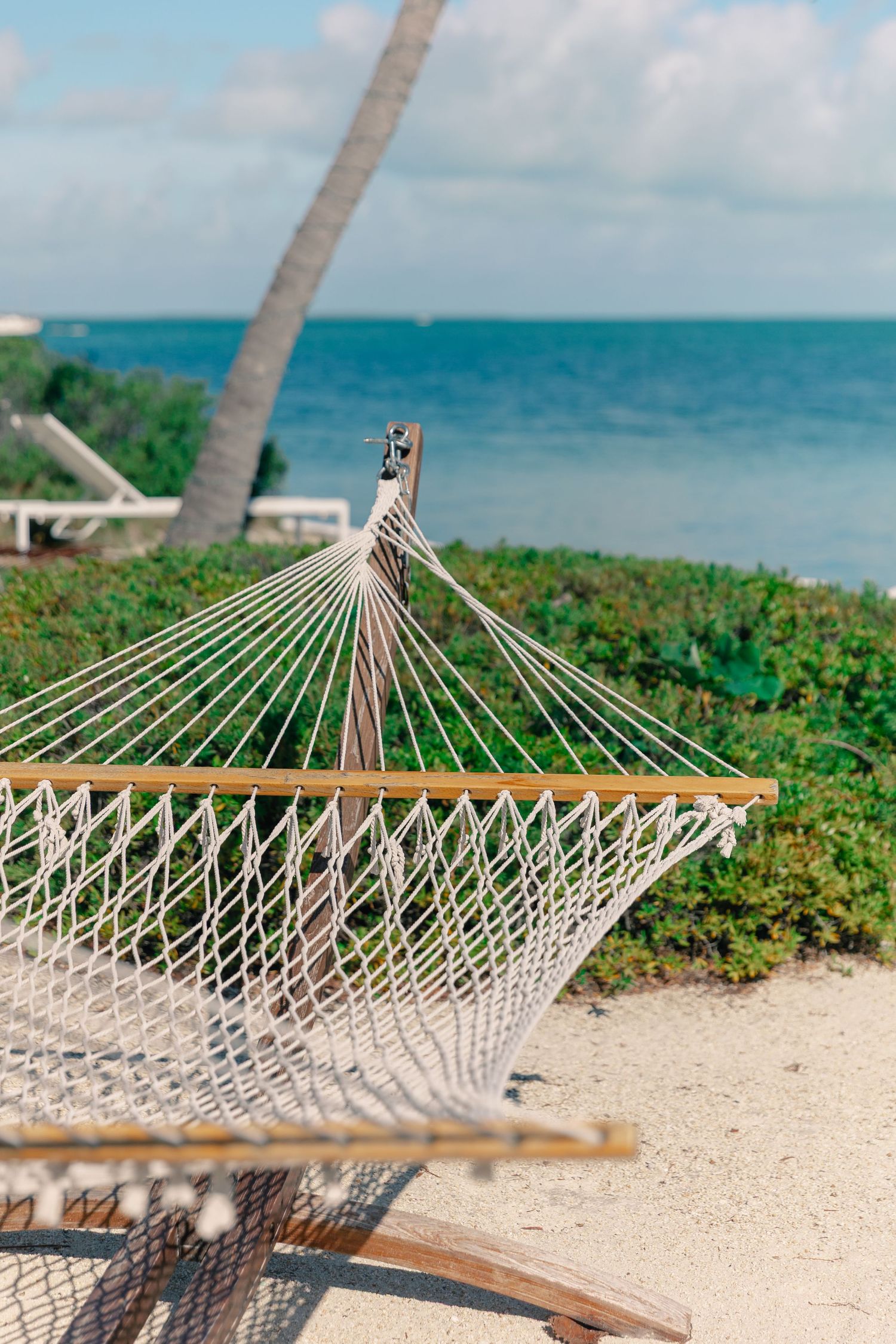 Rope hammock on sandy beach with turquoise ocean and palm tree in background on sunny day.