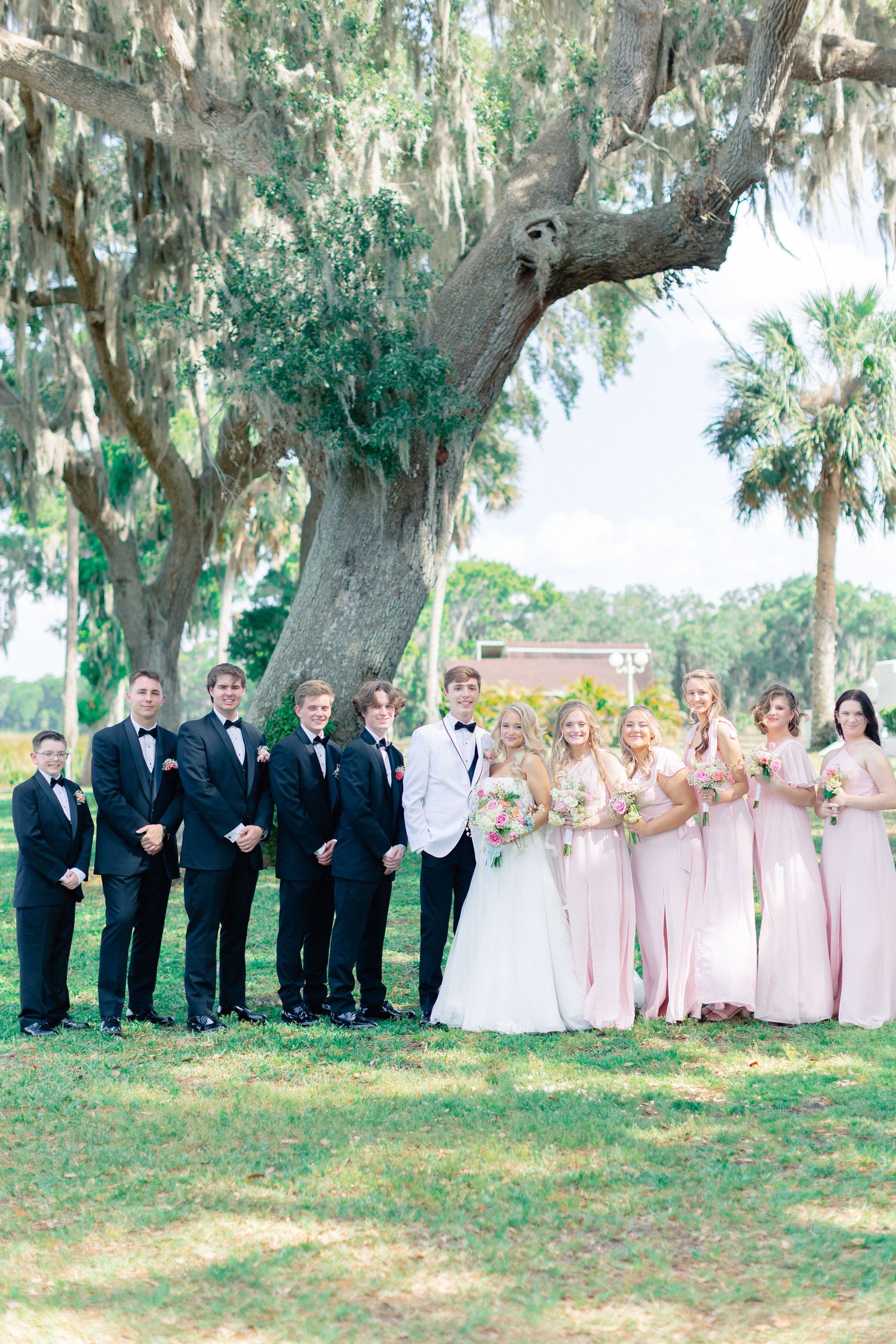 Wedding party poses under a large oak tree, groomsmen in black tuxedos and bridesmaids in blush pink gowns with bride and groom centered