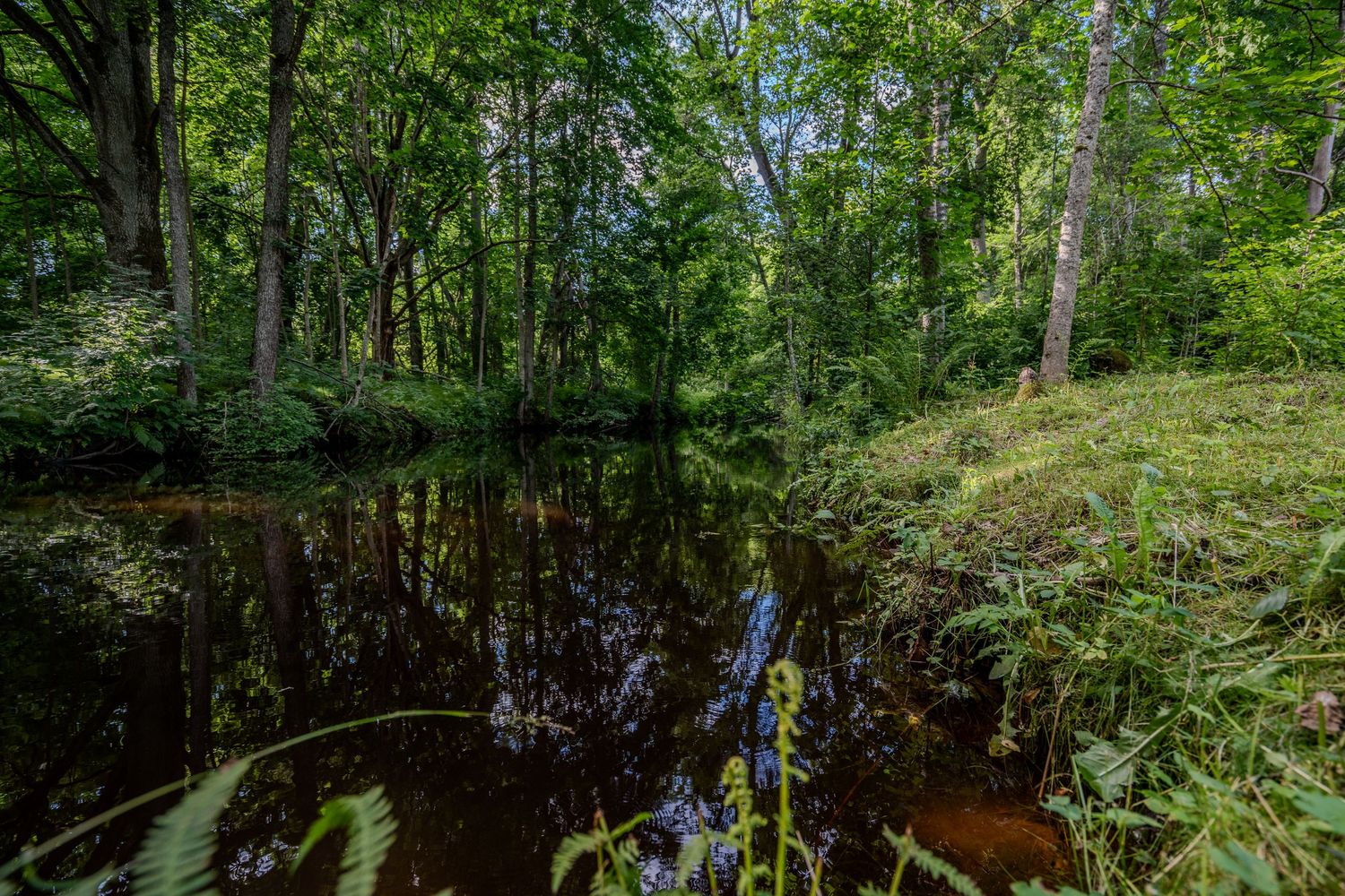 Kinnisvarapildid loodus, jõgi