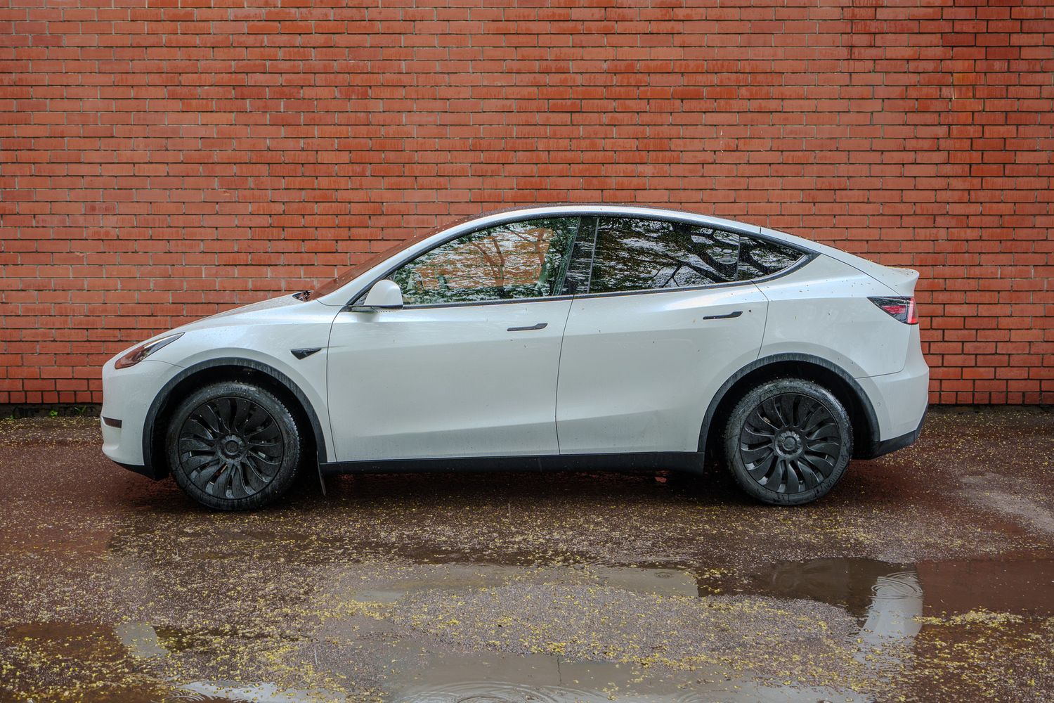 Tesla model Y müügipilt
