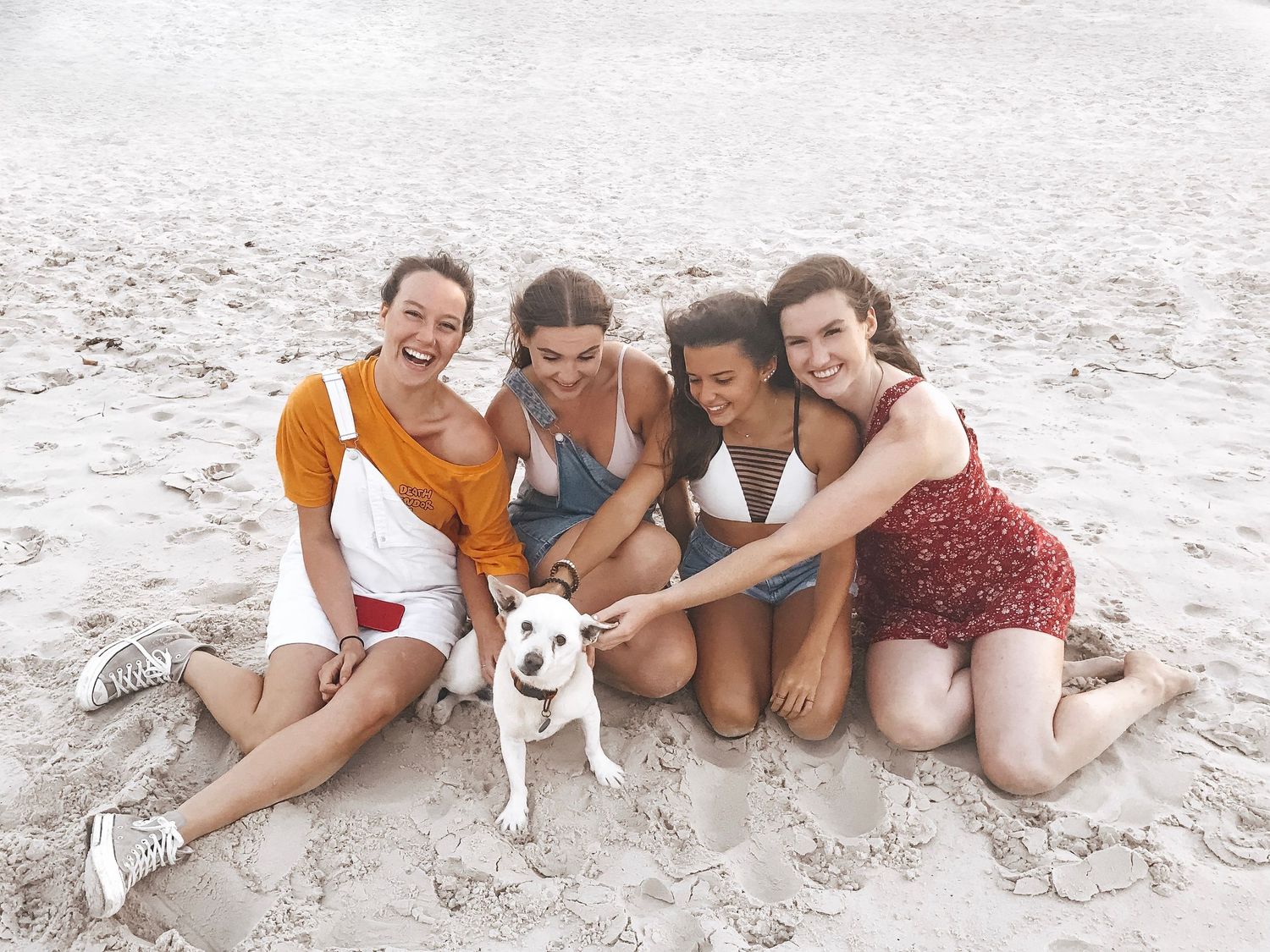 Four young women sitting on sandy beach smiling with a small white dog on a sunny day.