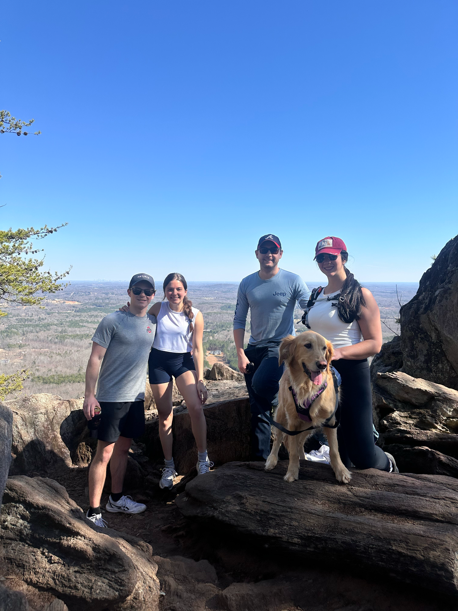 Four hikers and a golden retriever pose on rocky summit with panoramic valley views under clear blue sky.