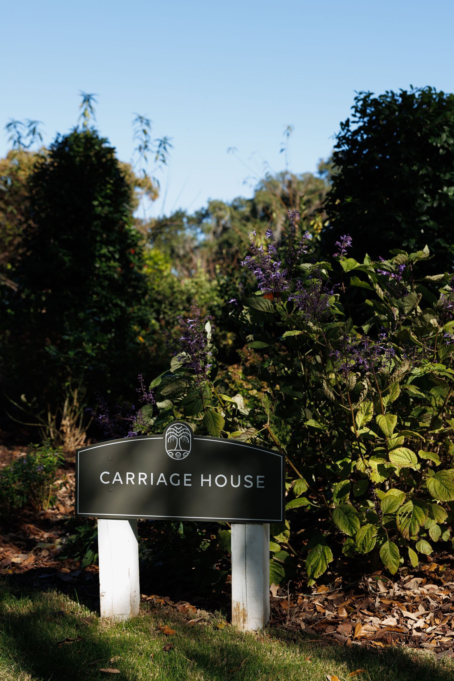 A dark sign reading Carriage House stands among lush green and purple flowering shrubs under a clear blue sky.