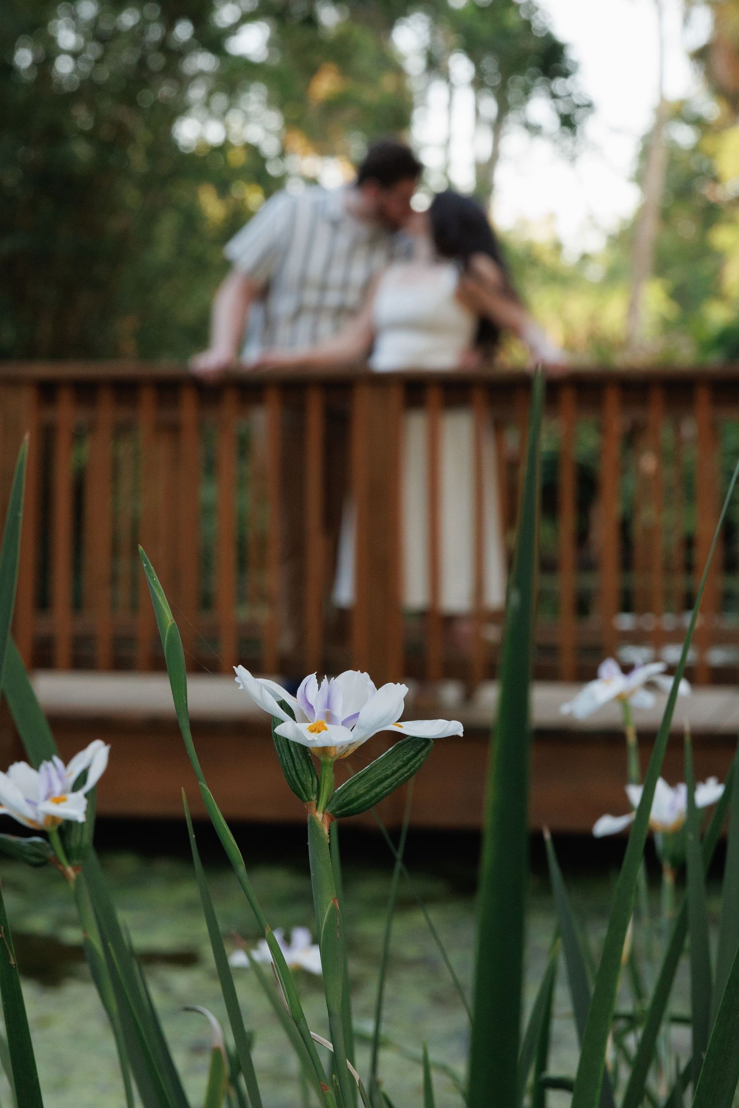 Couple sharing a romantic moment on a wooden bridge, with white iris flowers in the foreground.