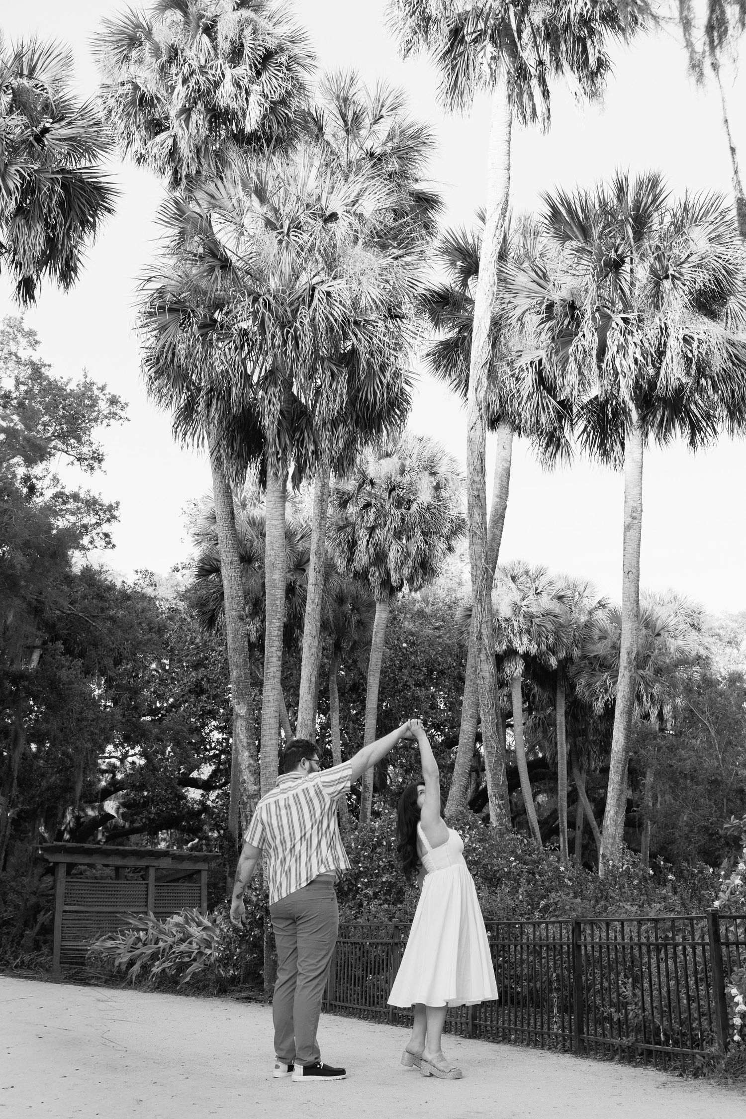 Black and white photo of a couple dancing under tall palm trees in a lush outdoor setting.