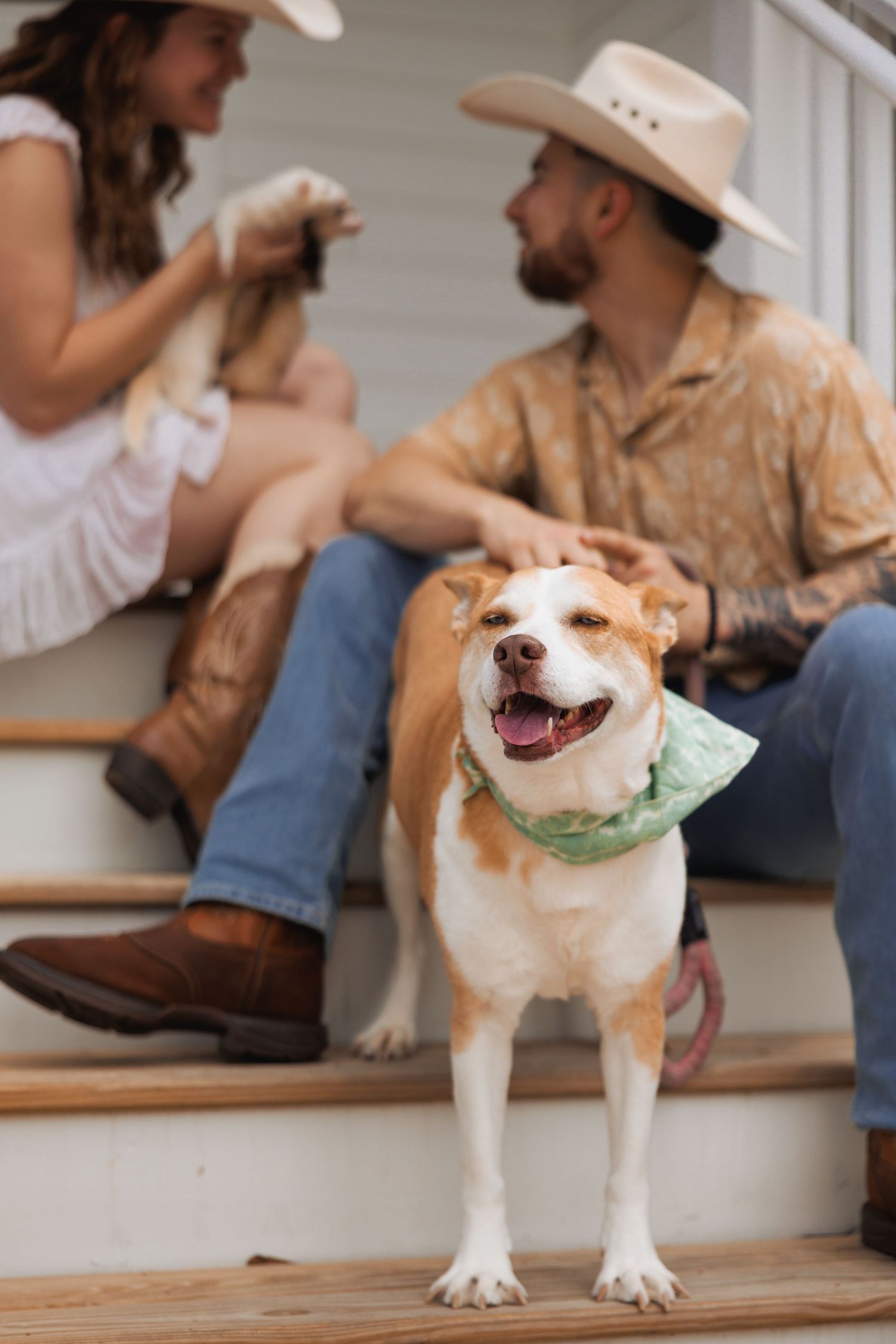 Happy dog wearing green bandana stands on porch steps with couple in cowboy hats sitting behind.