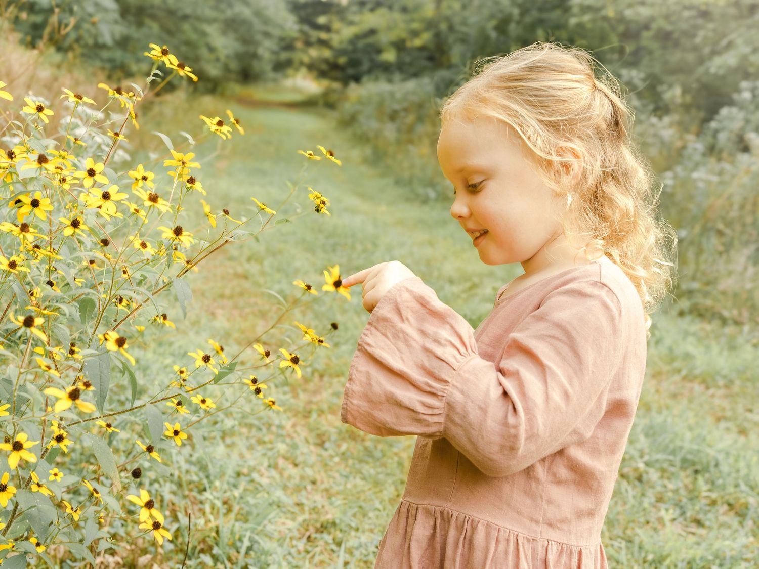 A young girl holding flowers in a field during a golden hour outdoor family photo session.