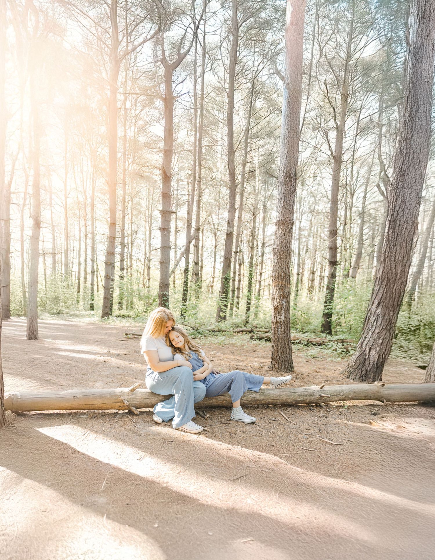 Two people sitting together on a fallen tree trunk in a sunlit forest with tall pine trees.