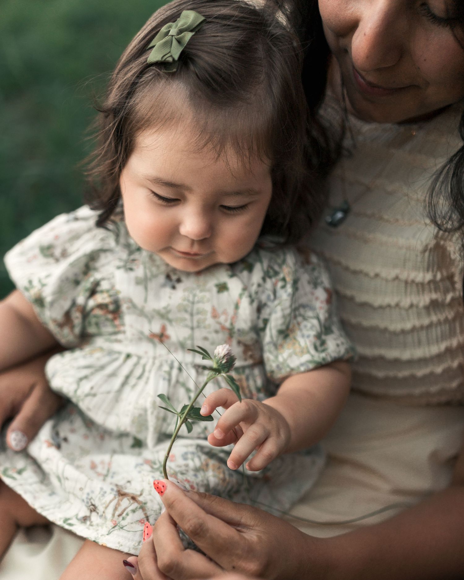 Toddler examining a small wildflower during an outdoor summer family session.