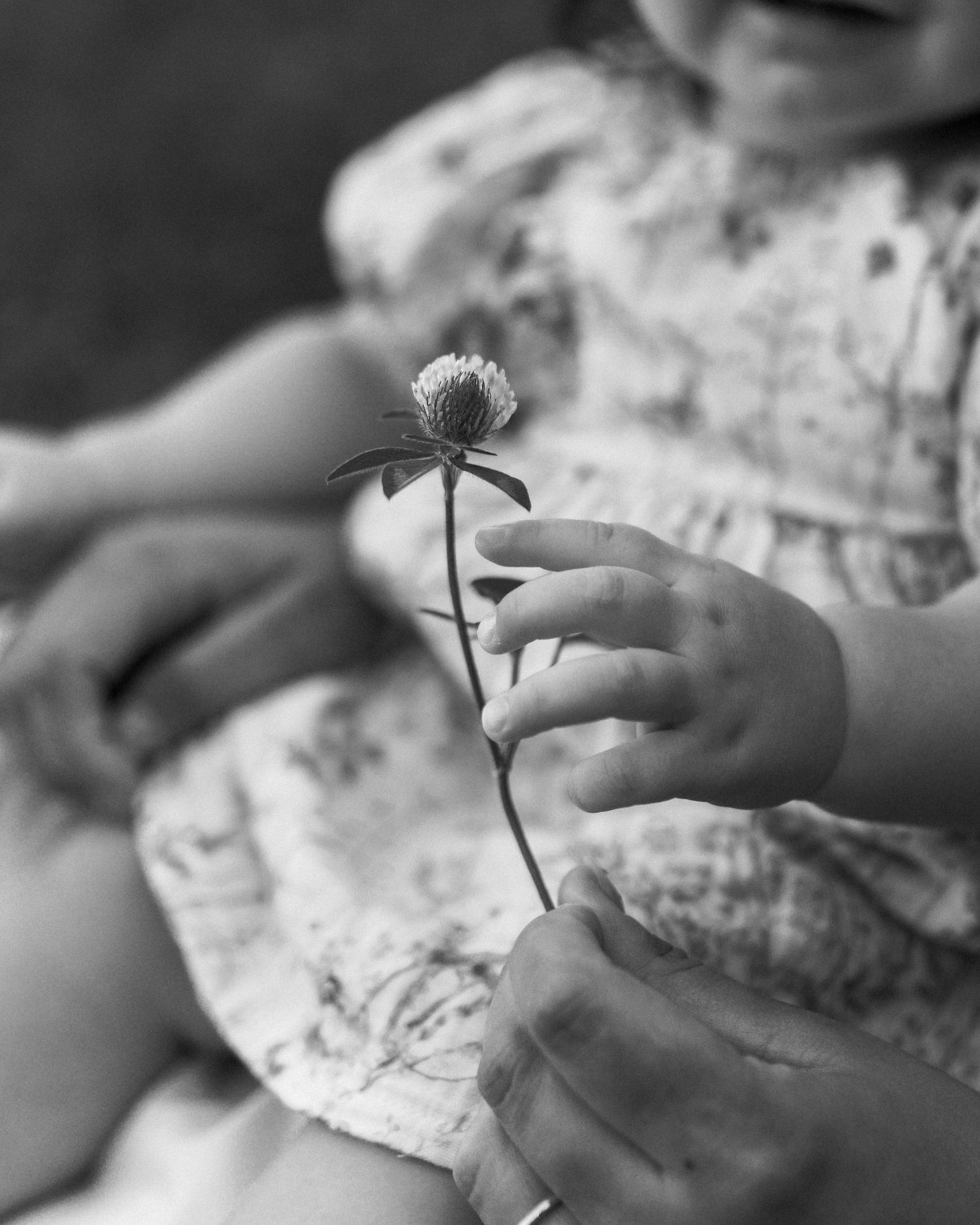 Close-up black and white photo of a toddler holding a wildflower.