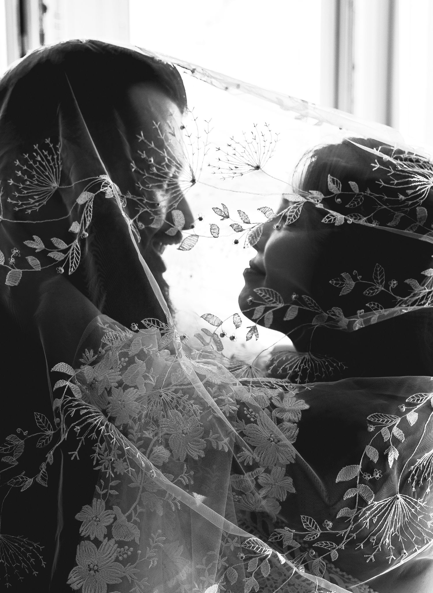 Black and white image showing overlapping fabric with butterfly patterns captured in dramatic lighting.