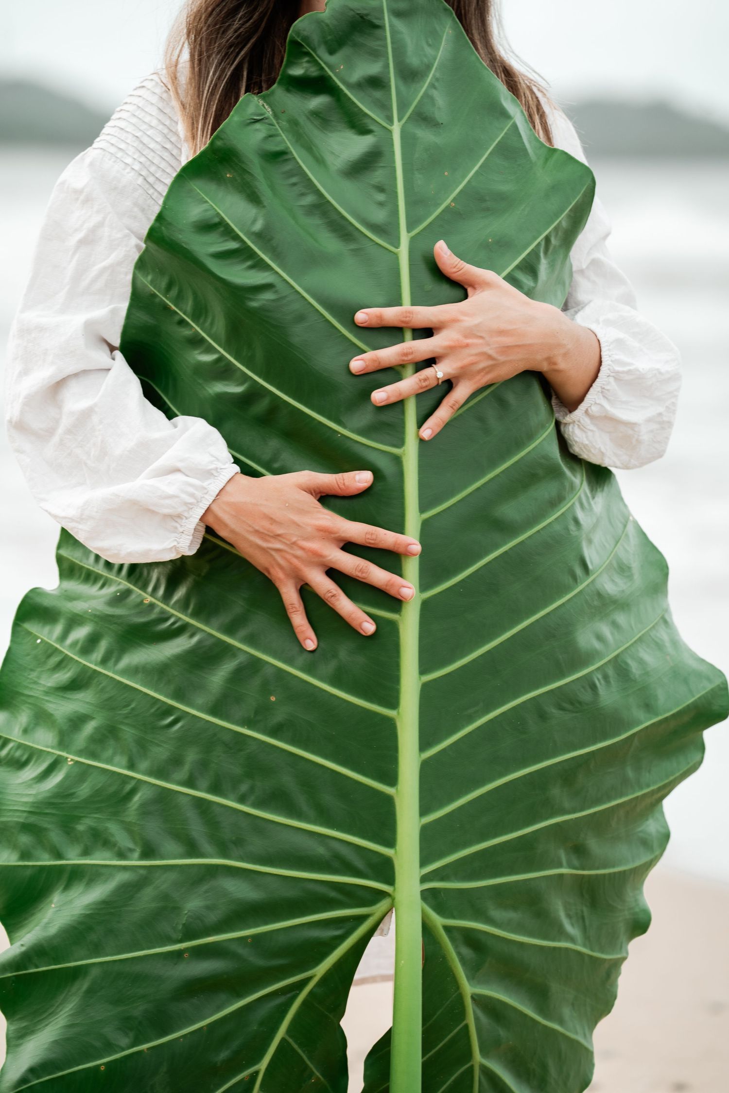 Woman in white blouse holding a large tropical green leaf on a beach.