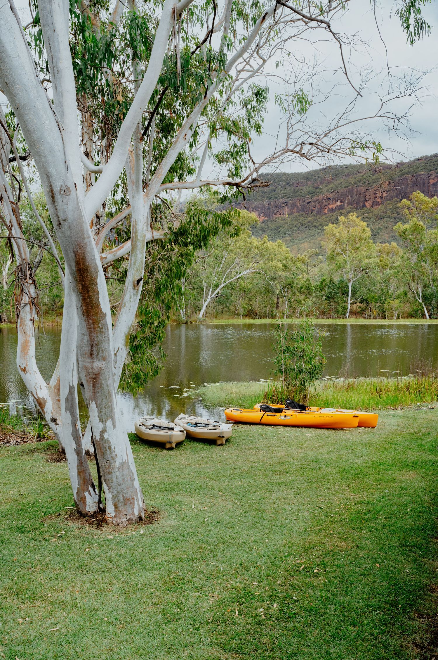 Colorful kayaks resting on green grass beside a calm river with eucalyptus trees and red mountains.