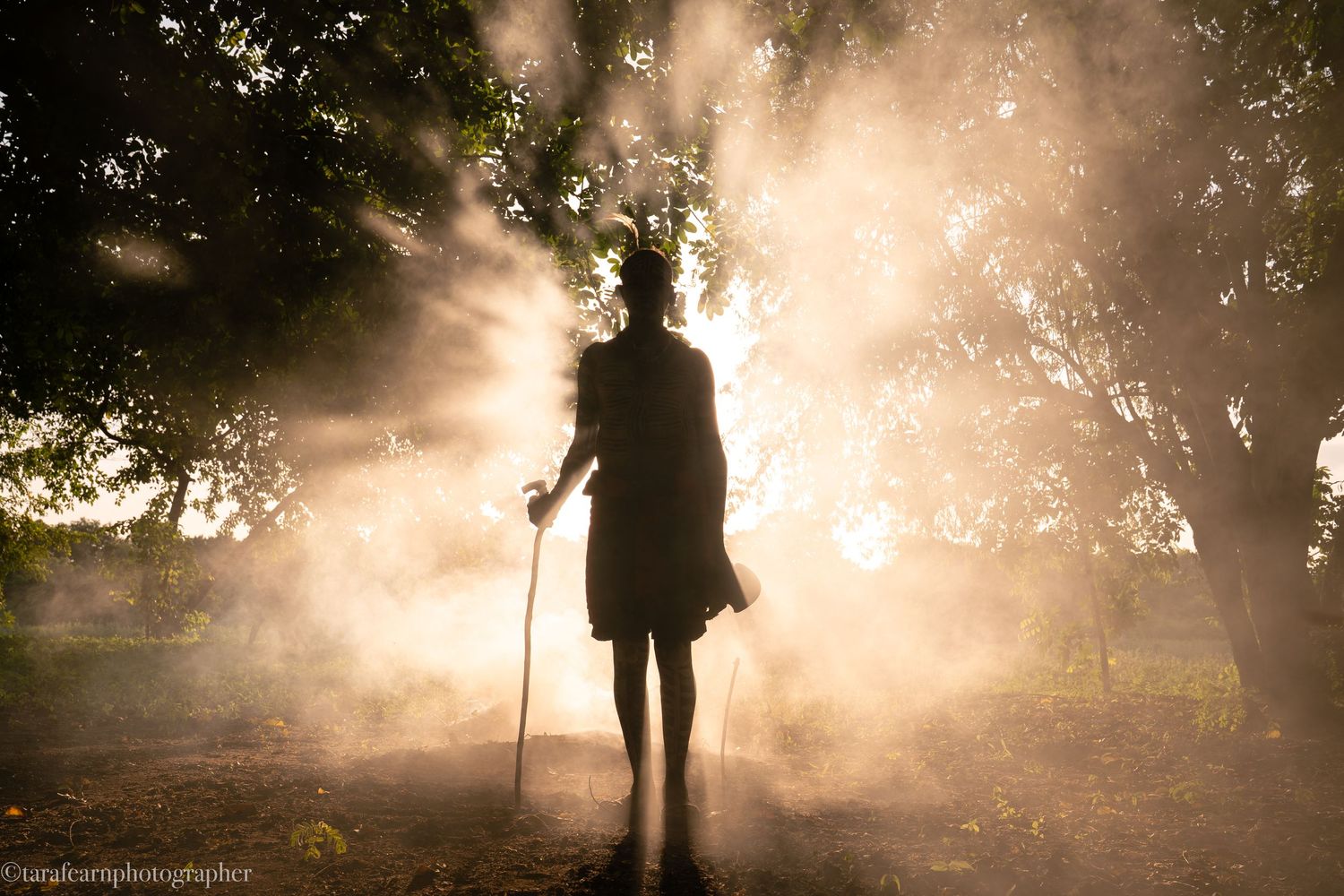 Silhouette of a person with a cane standing in misty golden light among trees.