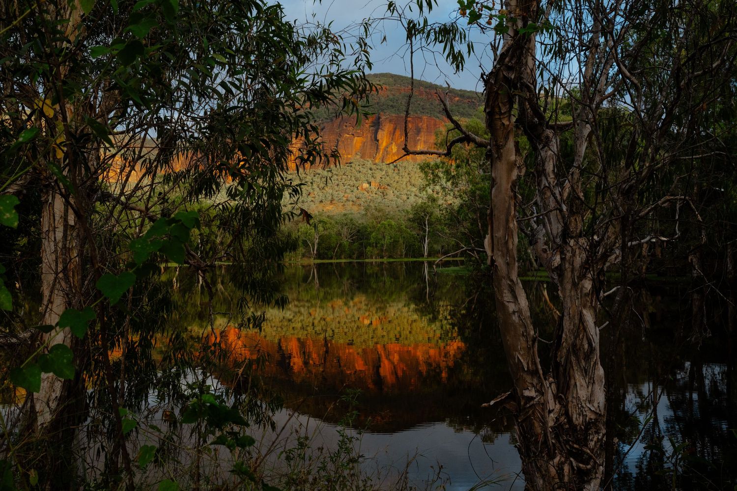 Stunning sunset reflection of red rocky cliffs and trees mirrored in a calm outback waterway.